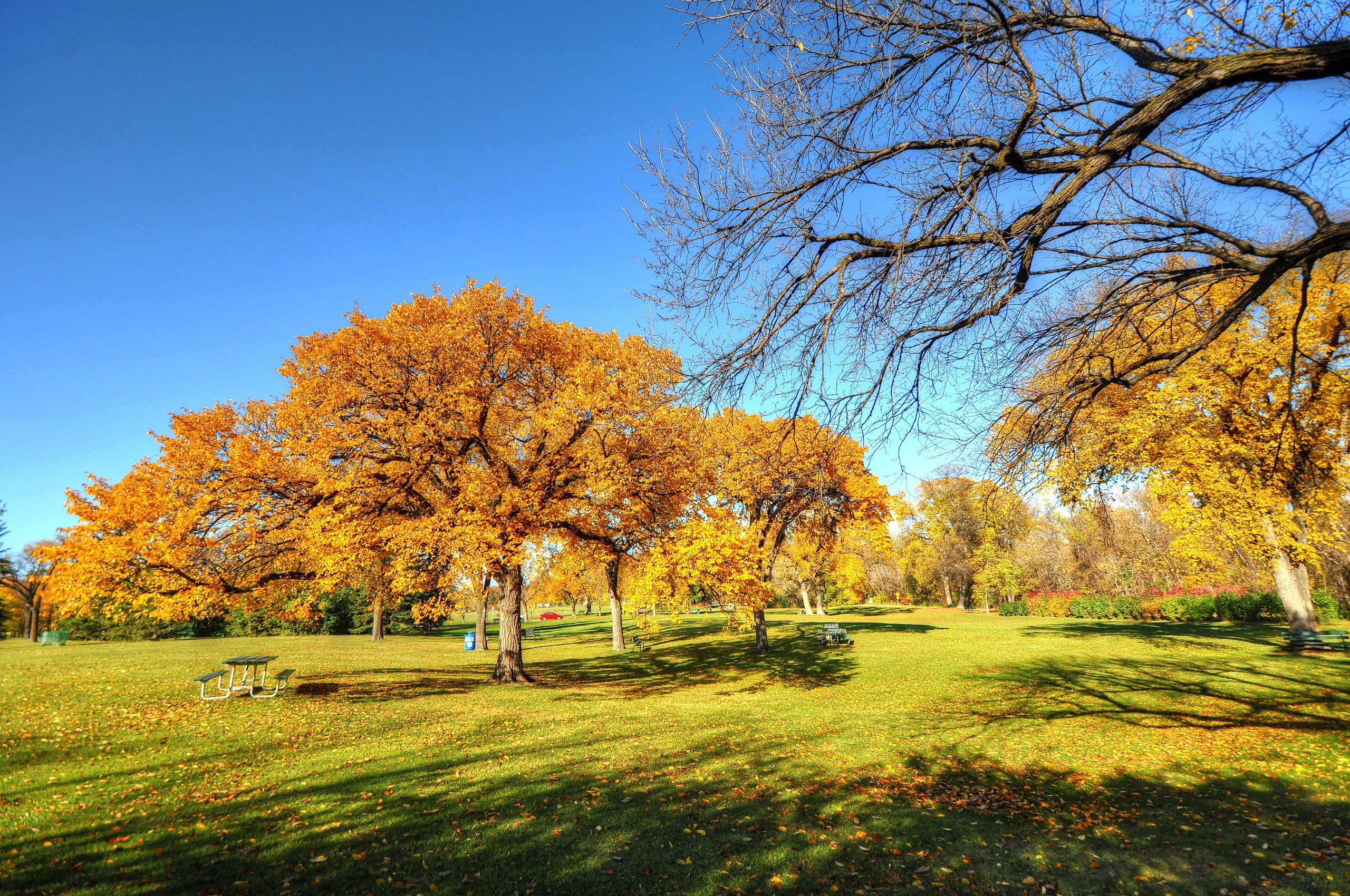 Jesień, Park, Drzewa, Ławeczka