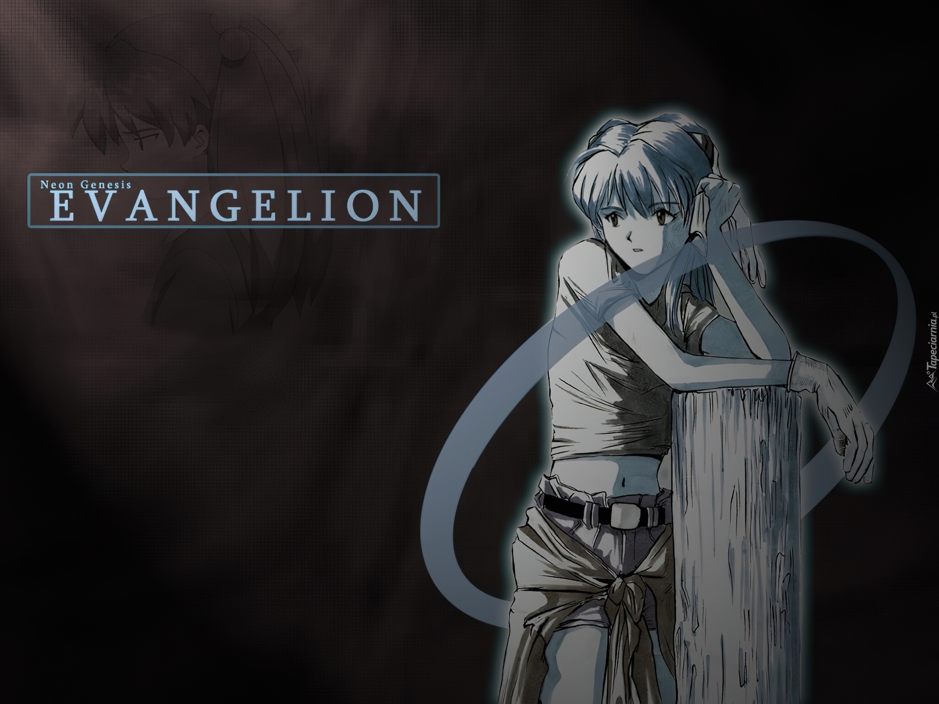 Neon Genesis Evangelion, kobieta, pal