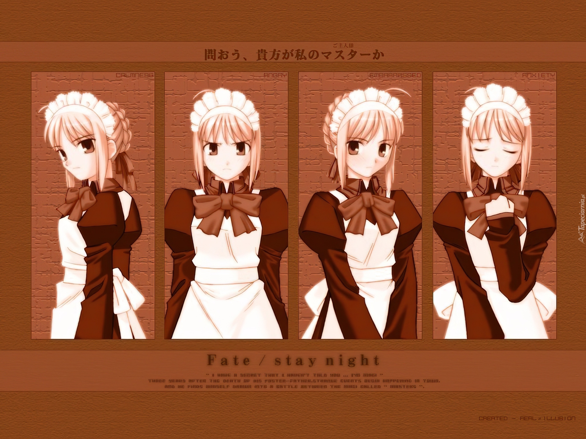 Fate Stay Night, Profile