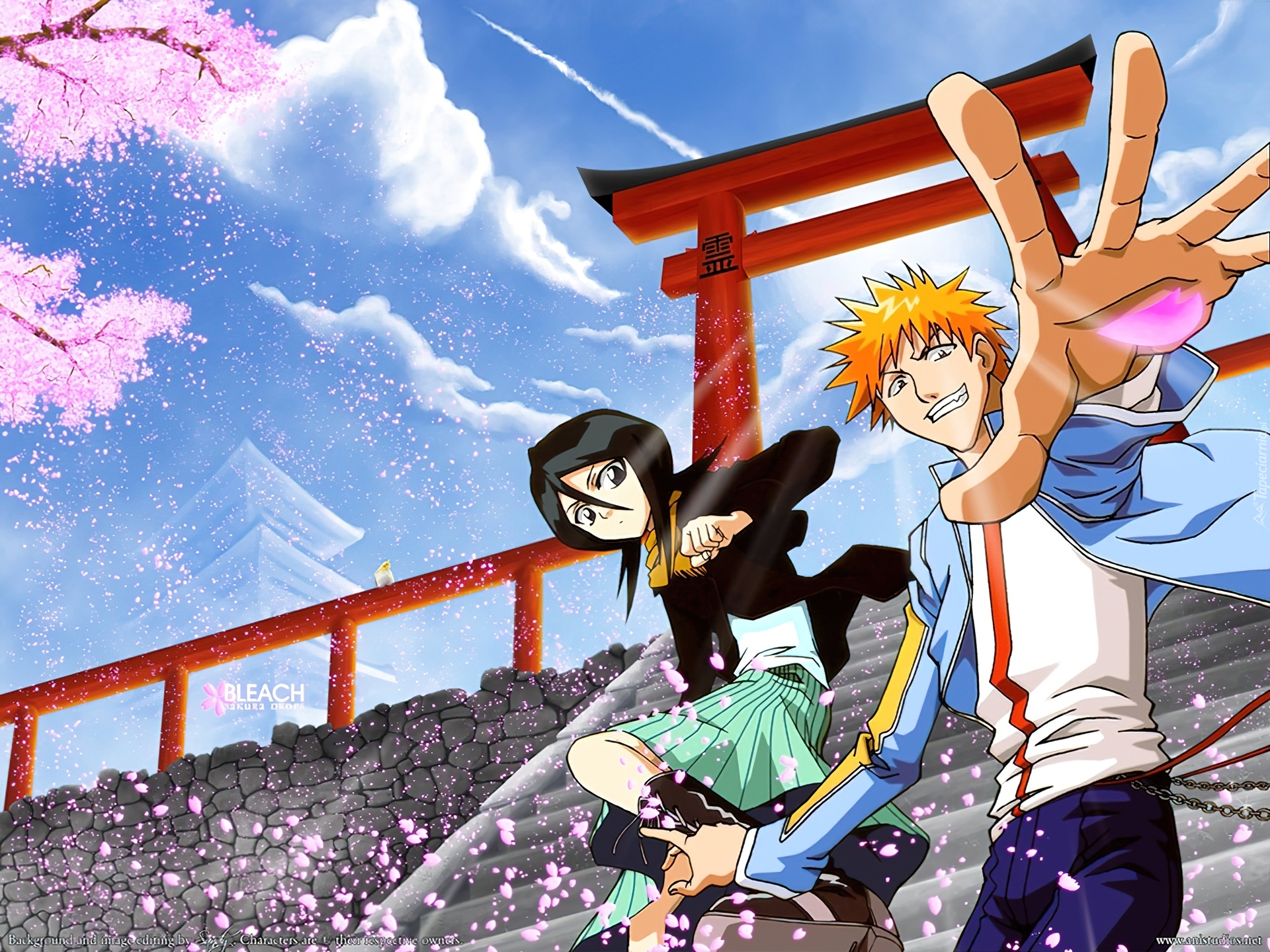 Bleach, Ichigo Kurosaki, Rukia Kuchiki