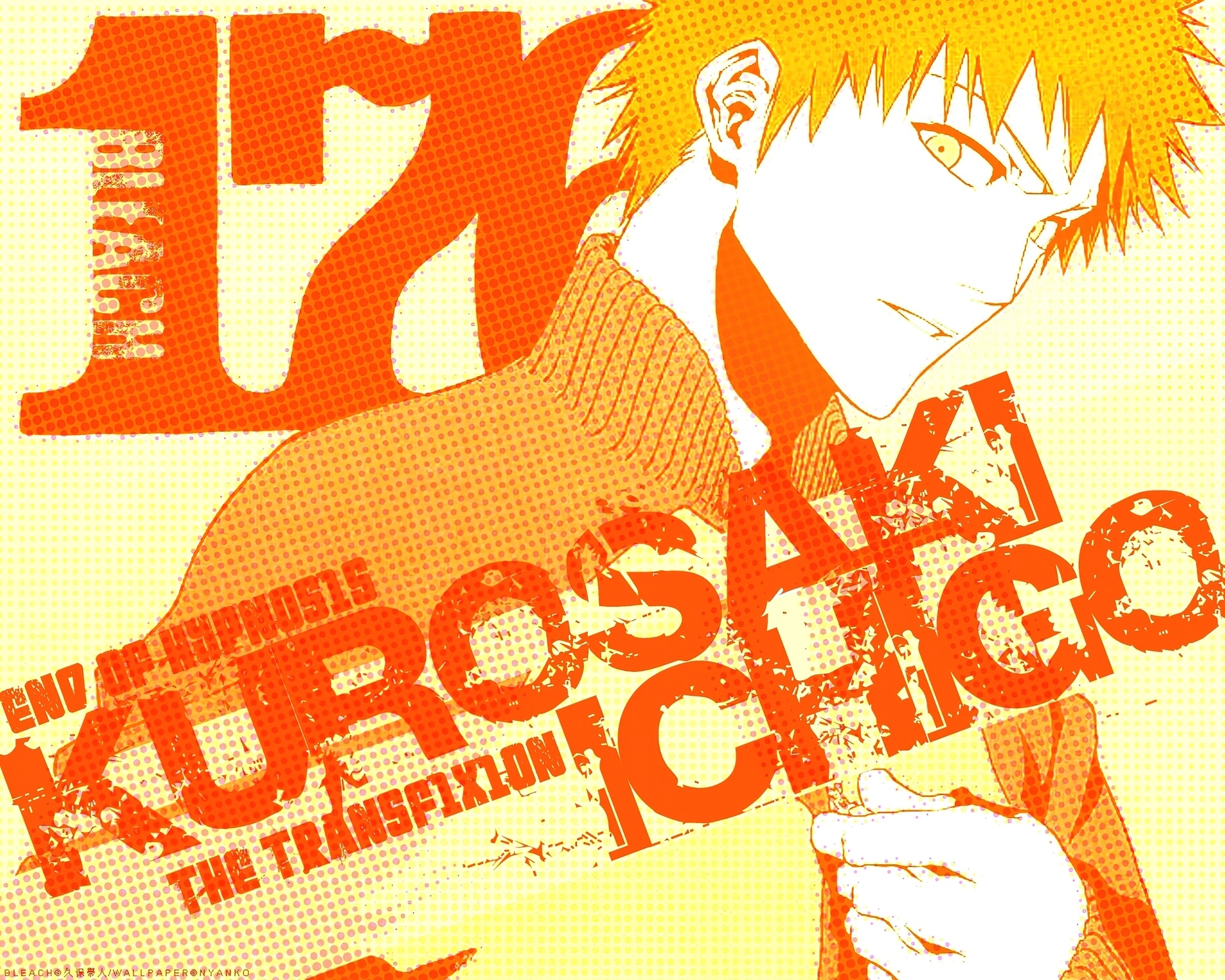 Bleach Kurosaki, Ichigo