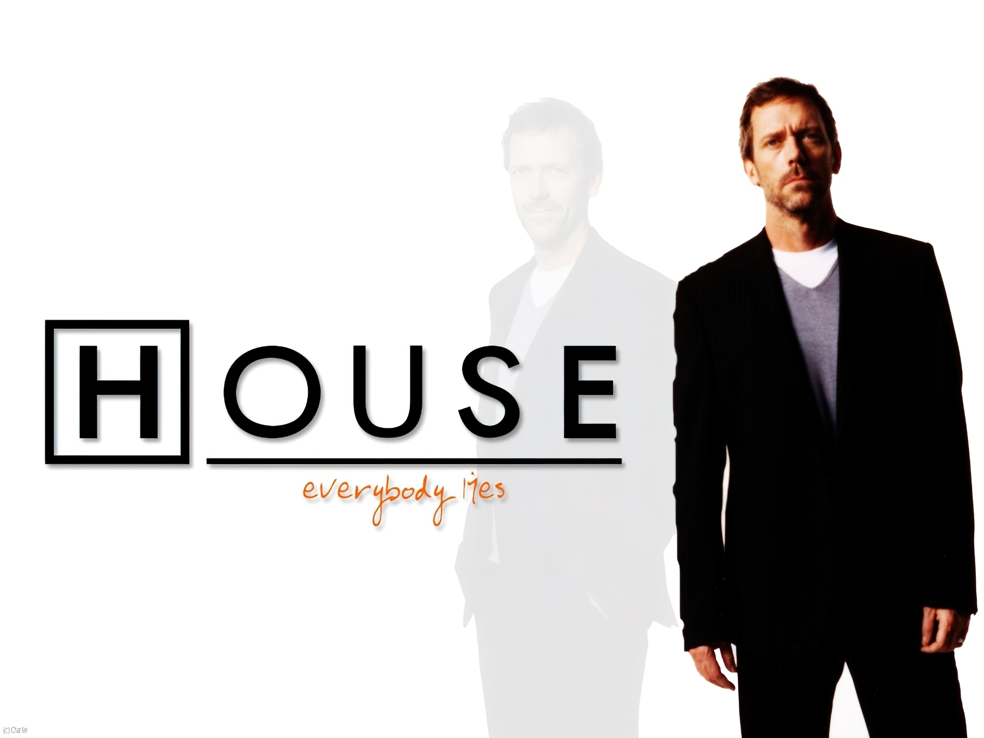 Dr. House, Garnitur, Hugh Laurie