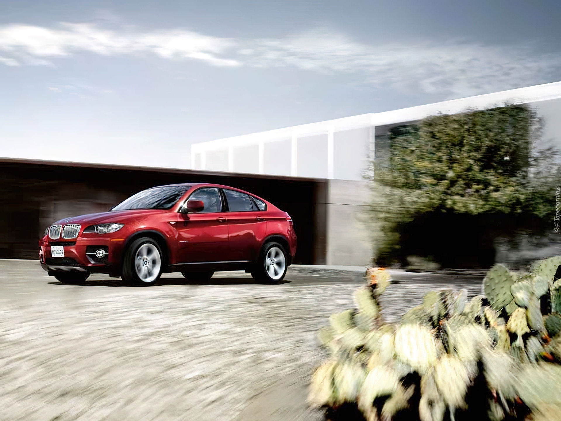 Bordowe, BMW X6