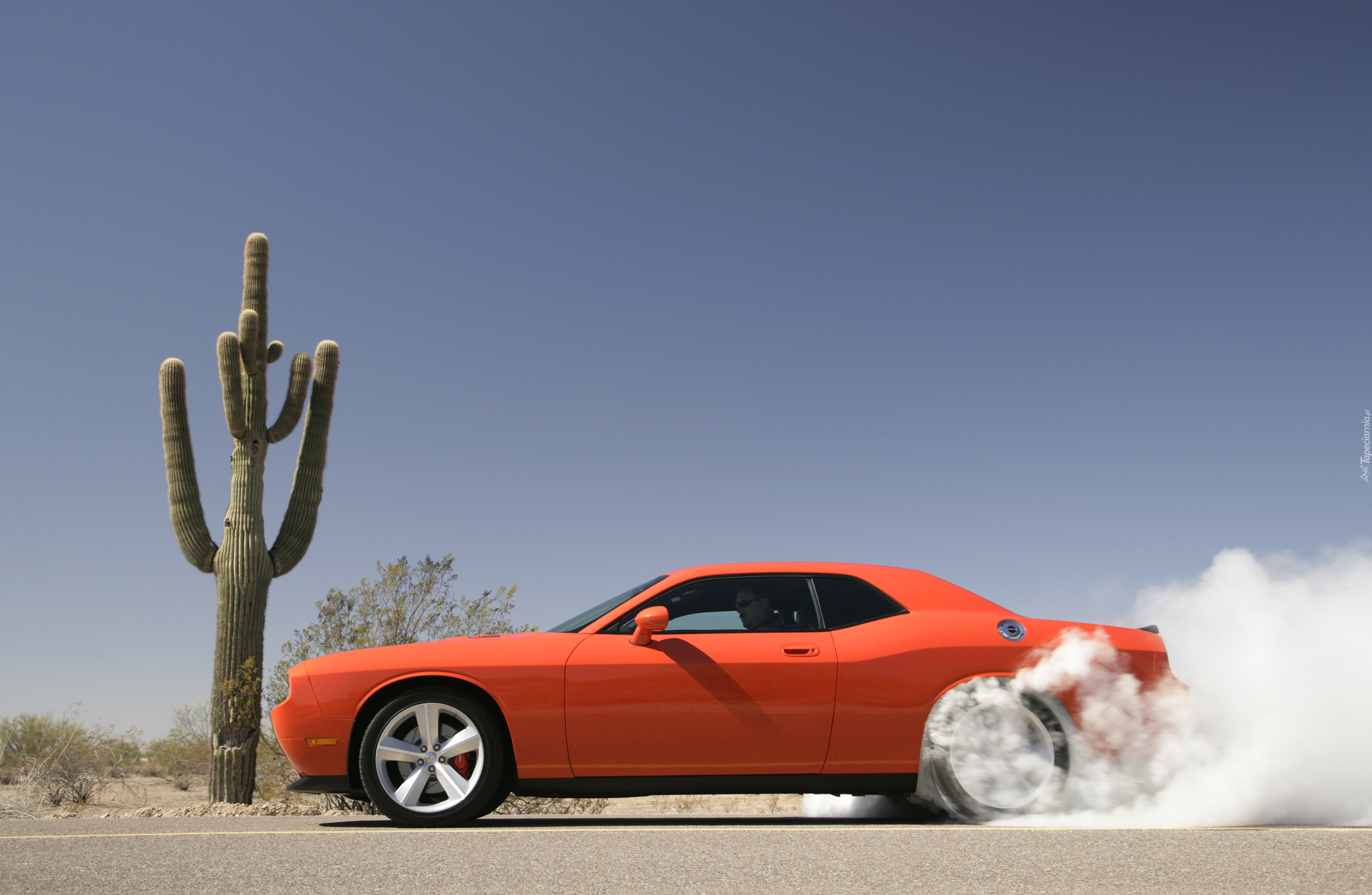 Dodge Challenger, Kaktus, Kłęby, Dymu