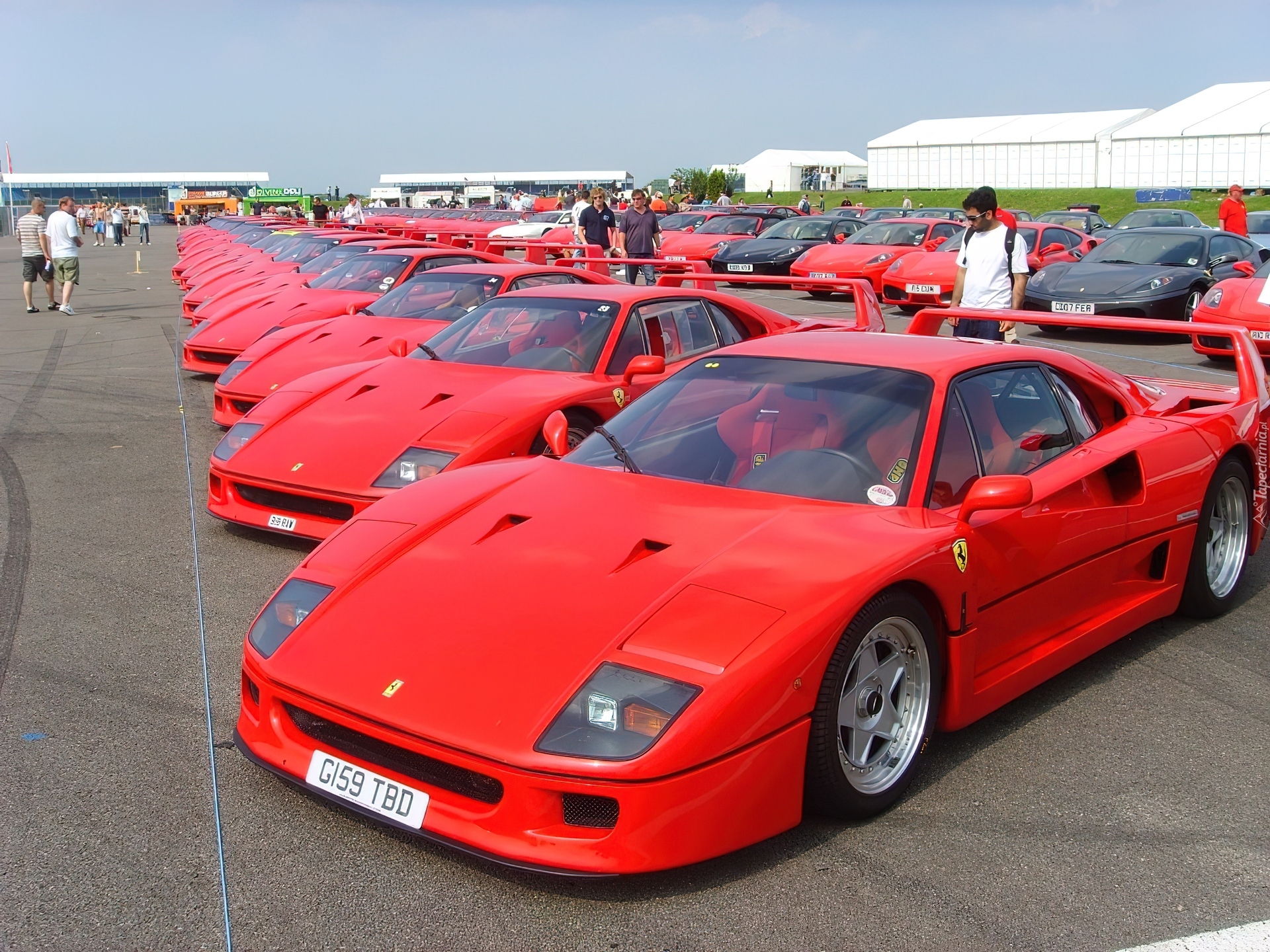 Zlot, Posiadaczy, Ferrari F 40