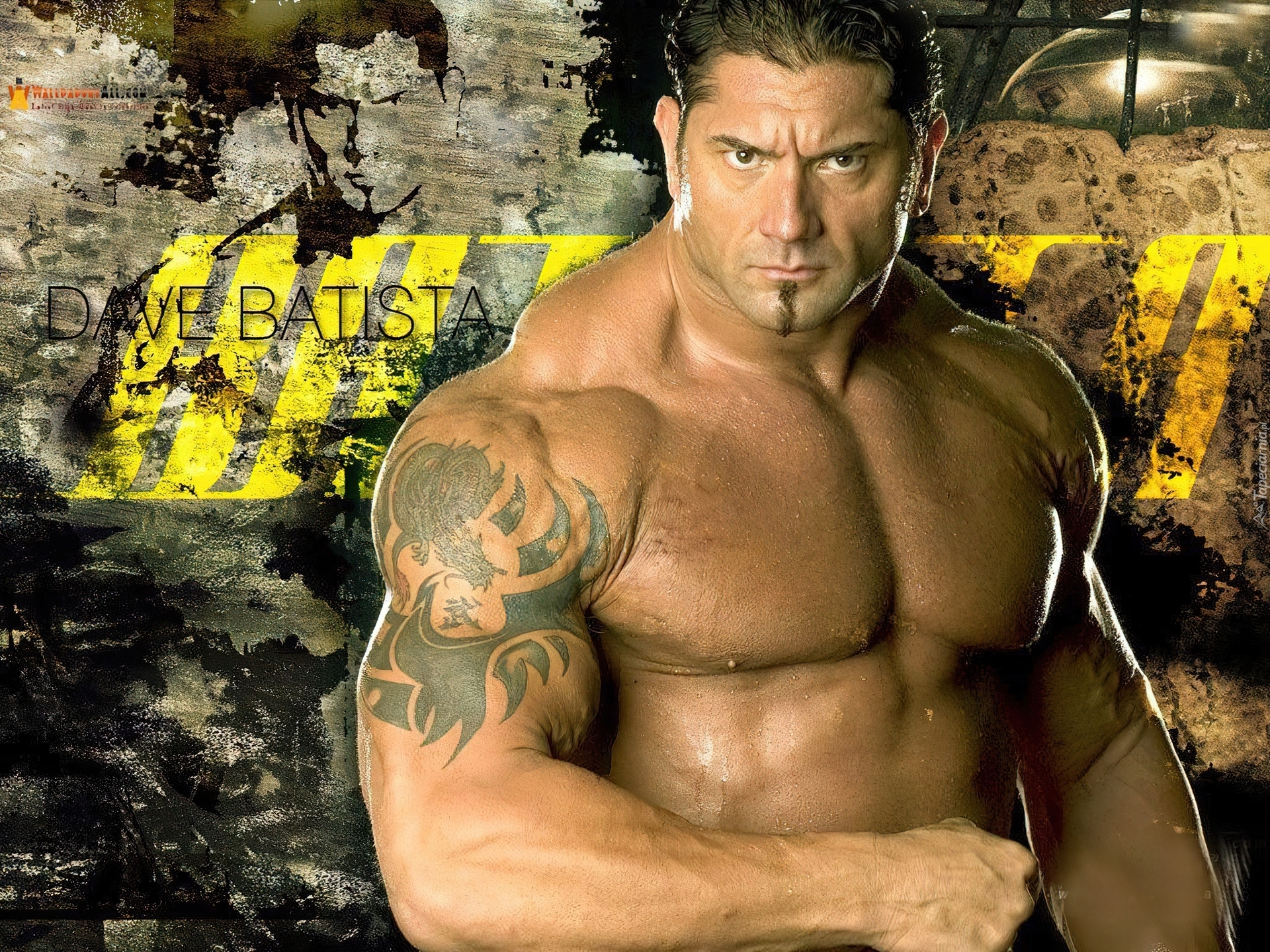 Batista Dave Bautista Wrestling Wwe Aktor Wrestler 3455