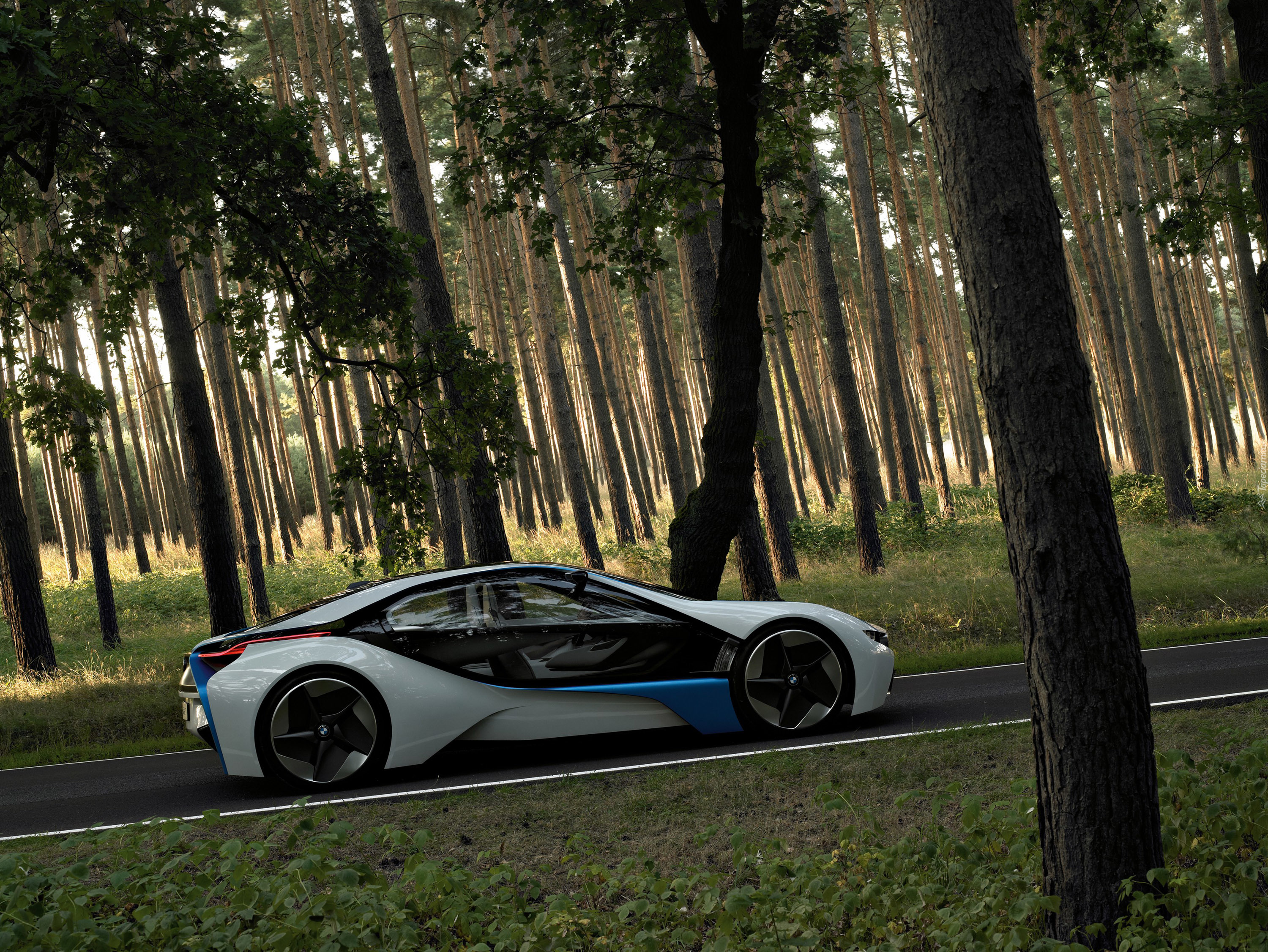 BMW Vision, Prawa, Strona