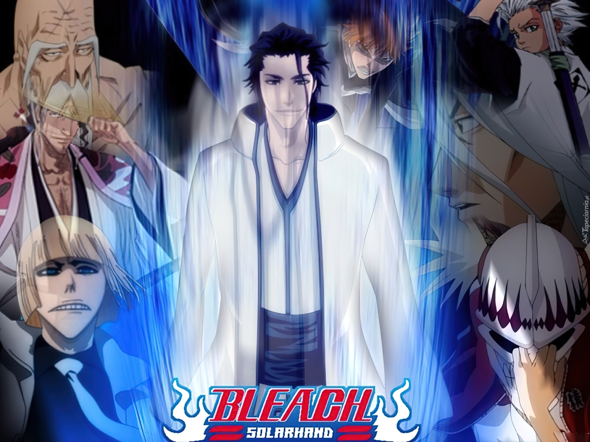 Vizard, Aizen, Shinigami