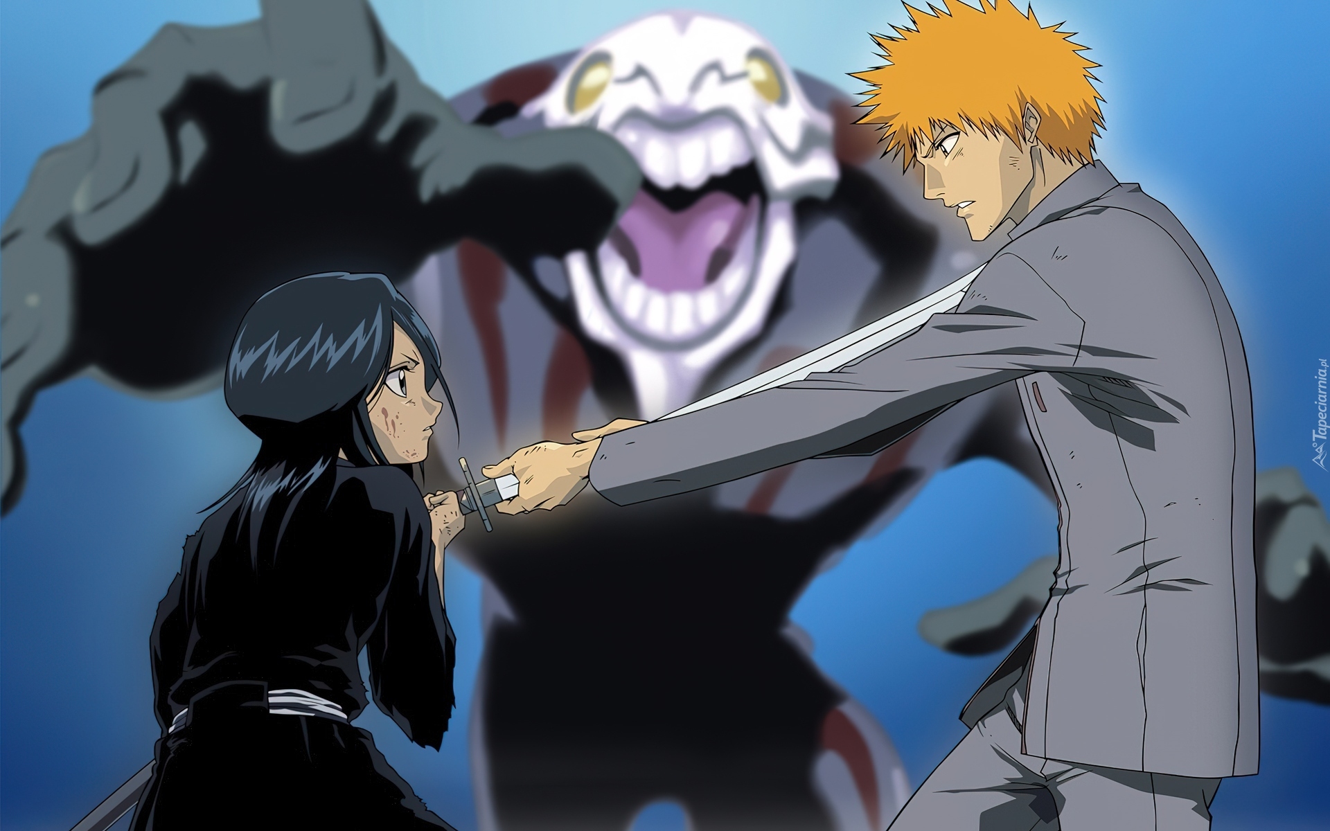 Rukia, Ichigo