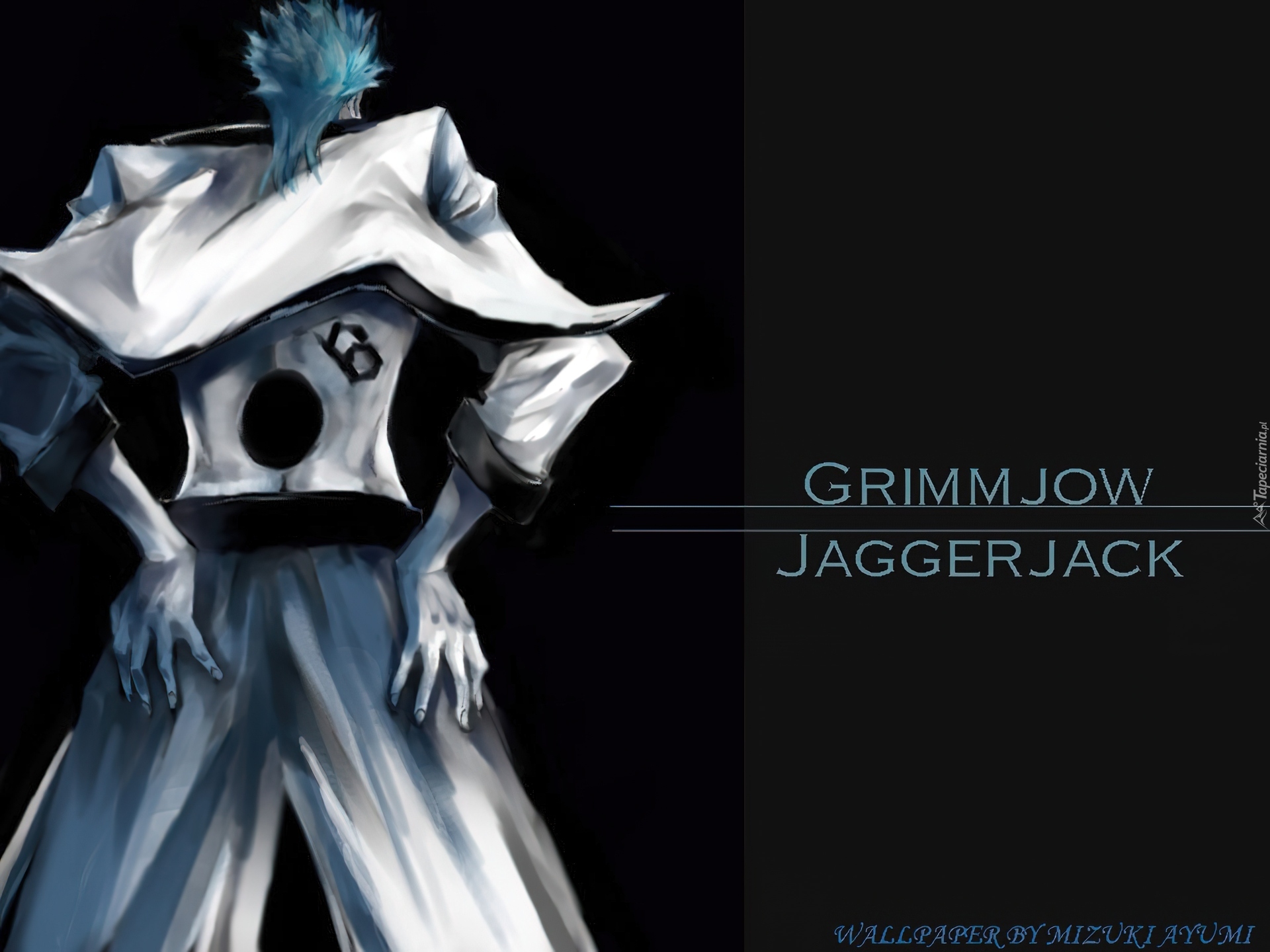 Grimmjow, Plecy, Numer 6