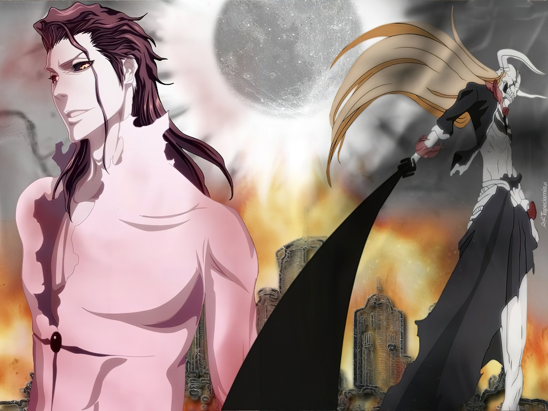 Aizen, Ichigo, Walka