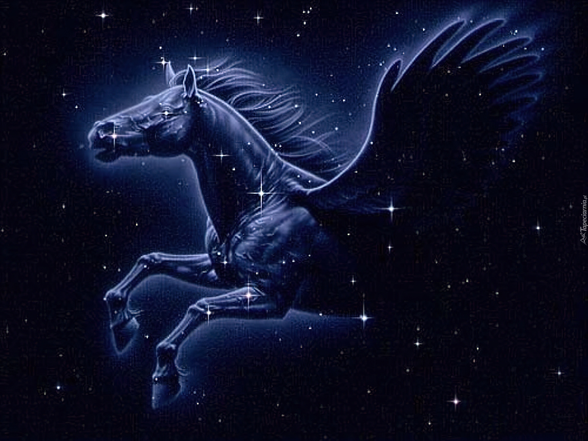 Звезда в созвездии пегас. Созвездие Пегас. Крылатый конь Пегас Созвездие. Созвездие Пегас с астеризмом. Пегас (Созвездие) созвездия.