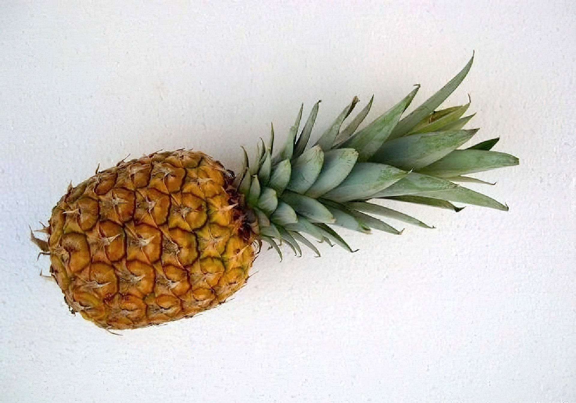 Ananas, Zielony, Pióropusz