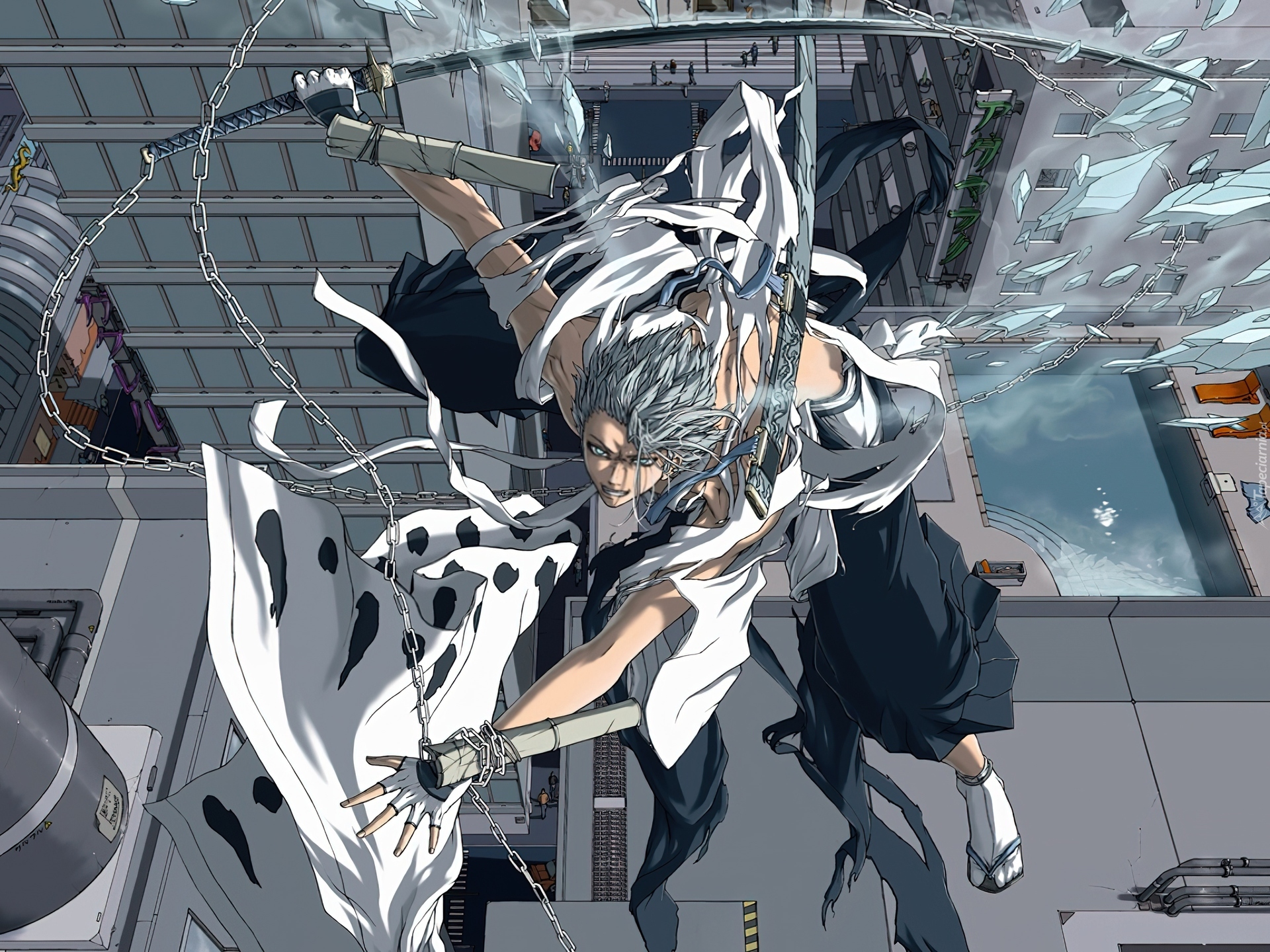 Hitsugaya Toshiro, Katana