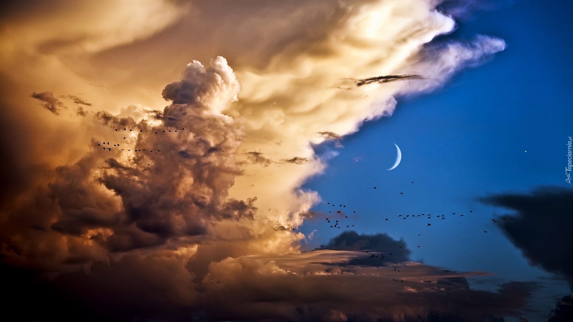 Chmury, Księżyc, Ptaki