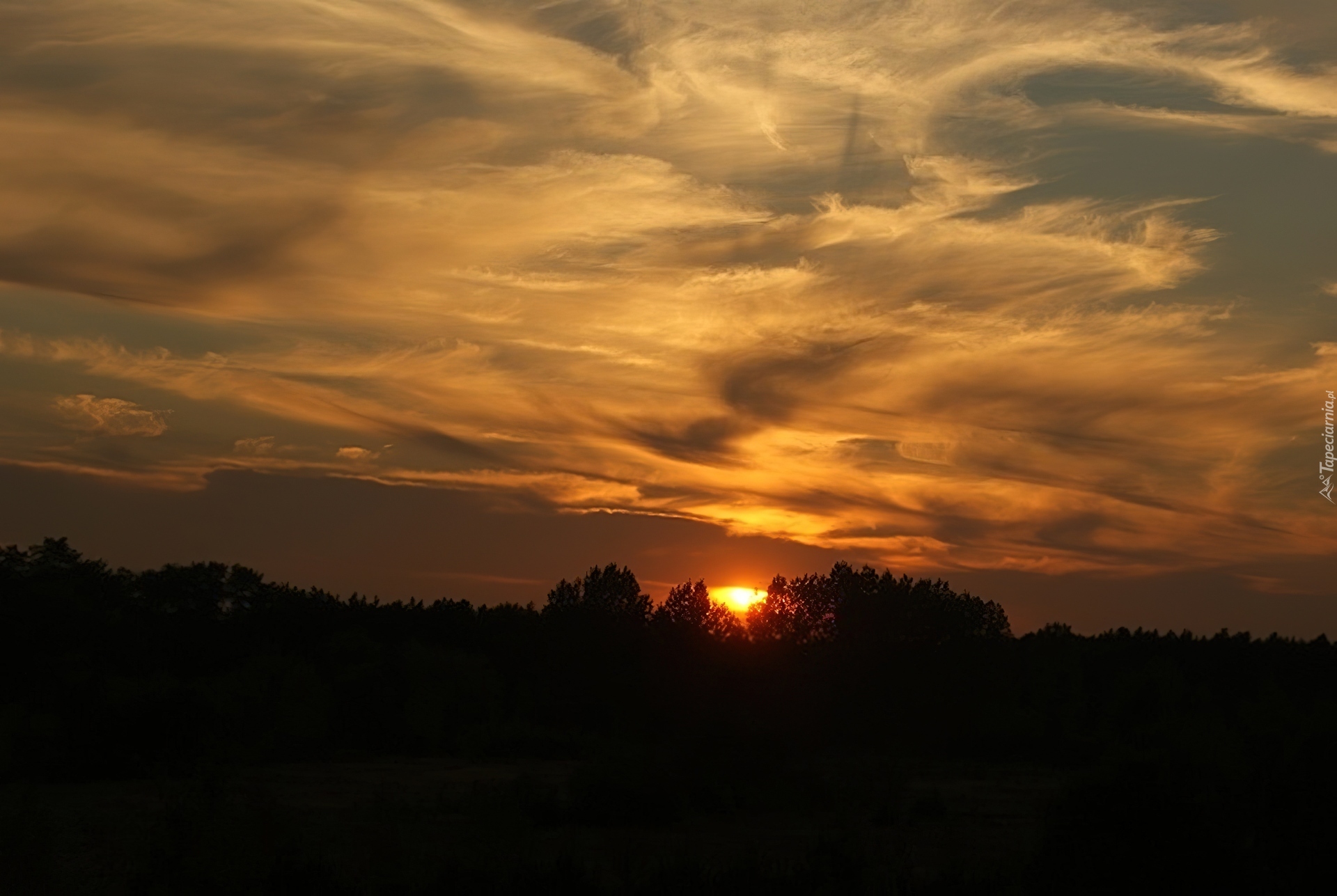 Zachodzące, Słońce, Nad, Lasem