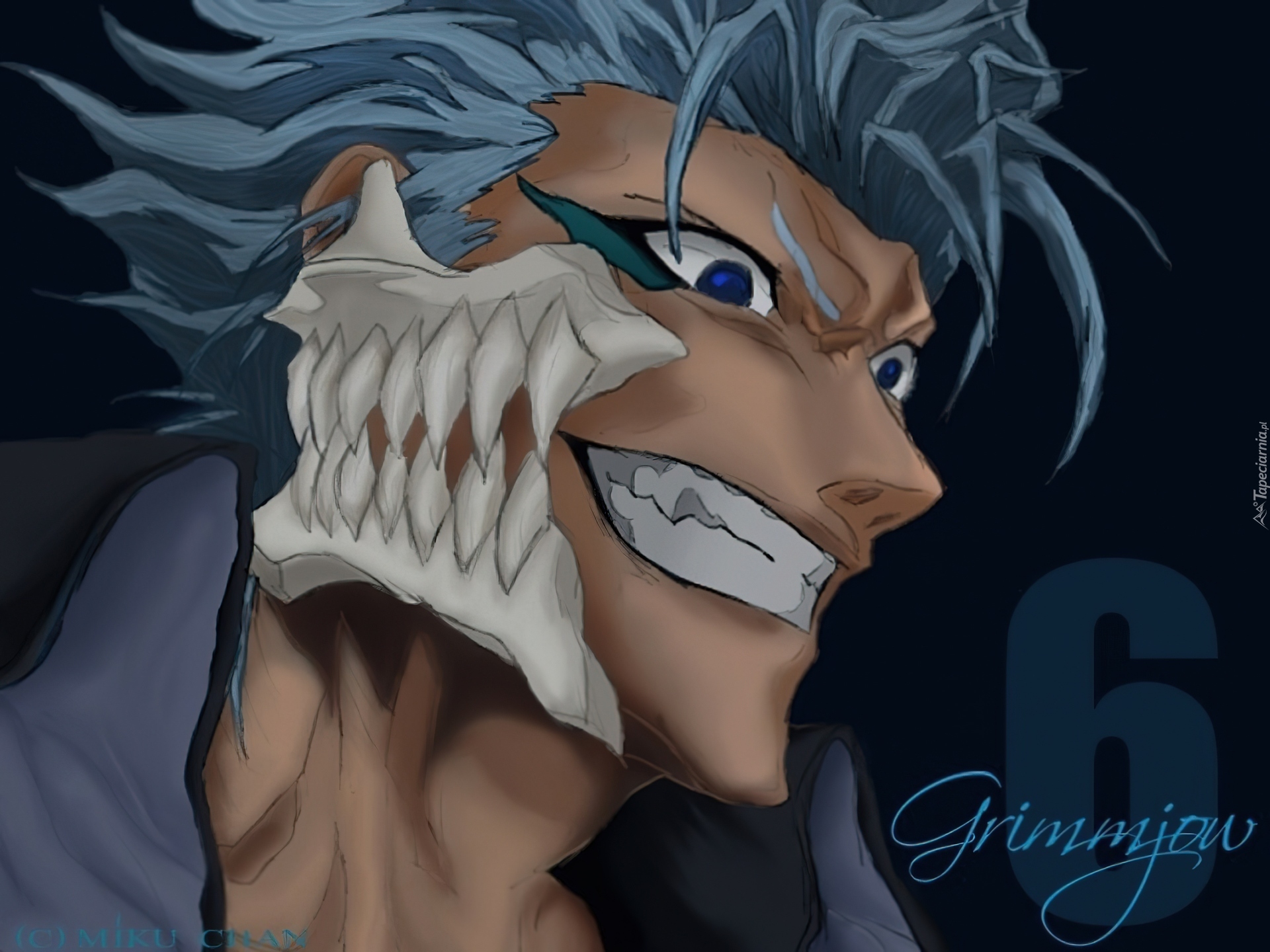 Grimmjow, Espada, Numer 6