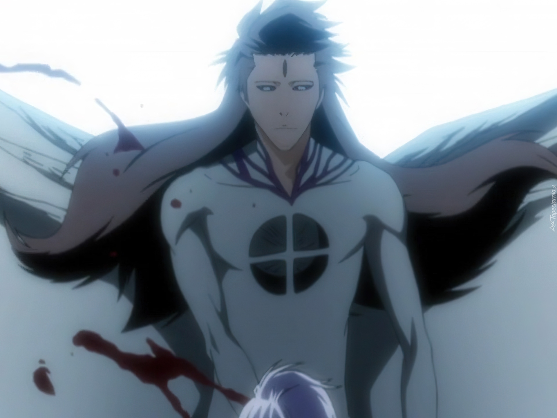 Aizen, Przemiana, Bleach