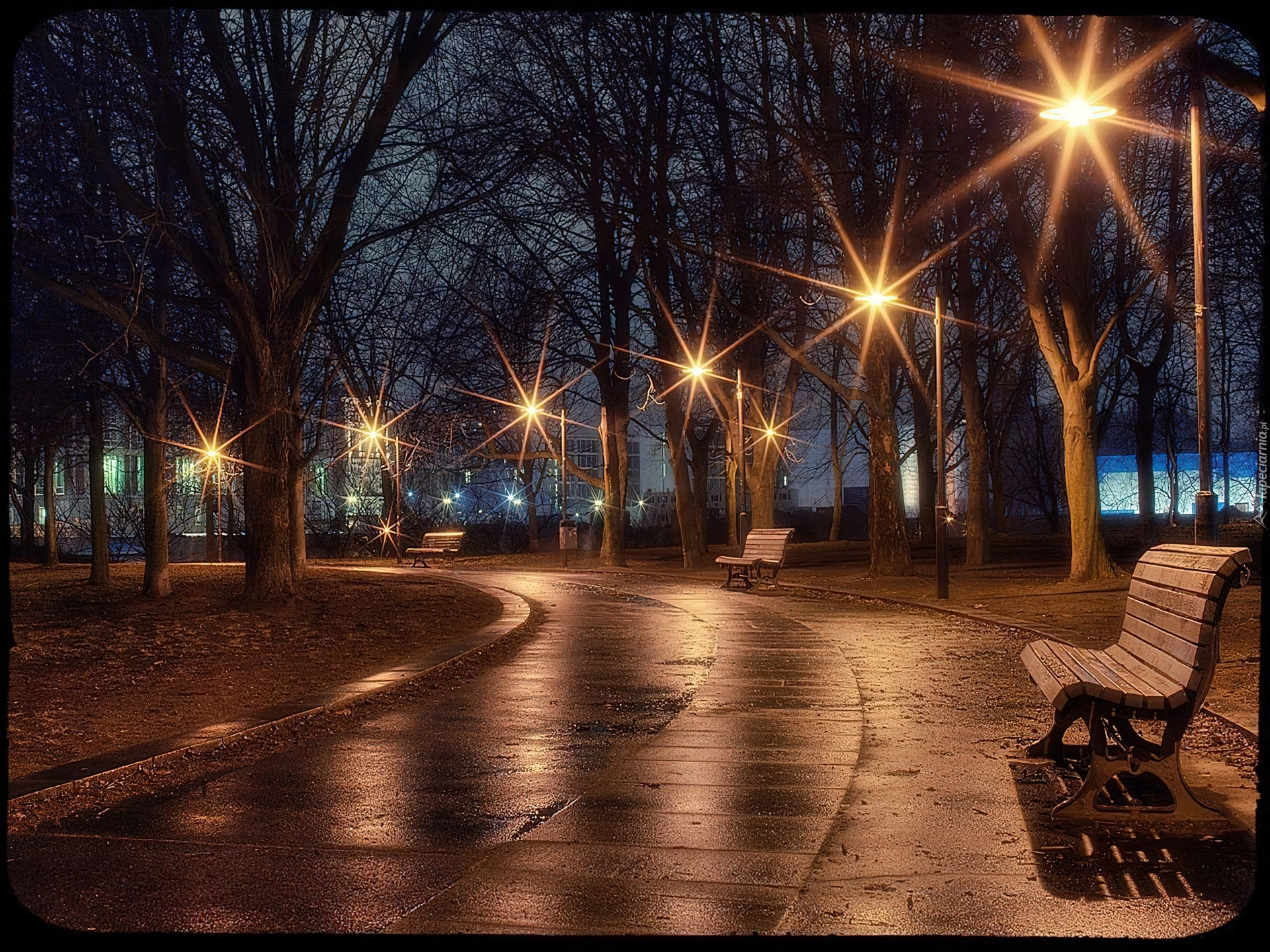 Jesień, Park, Ławka