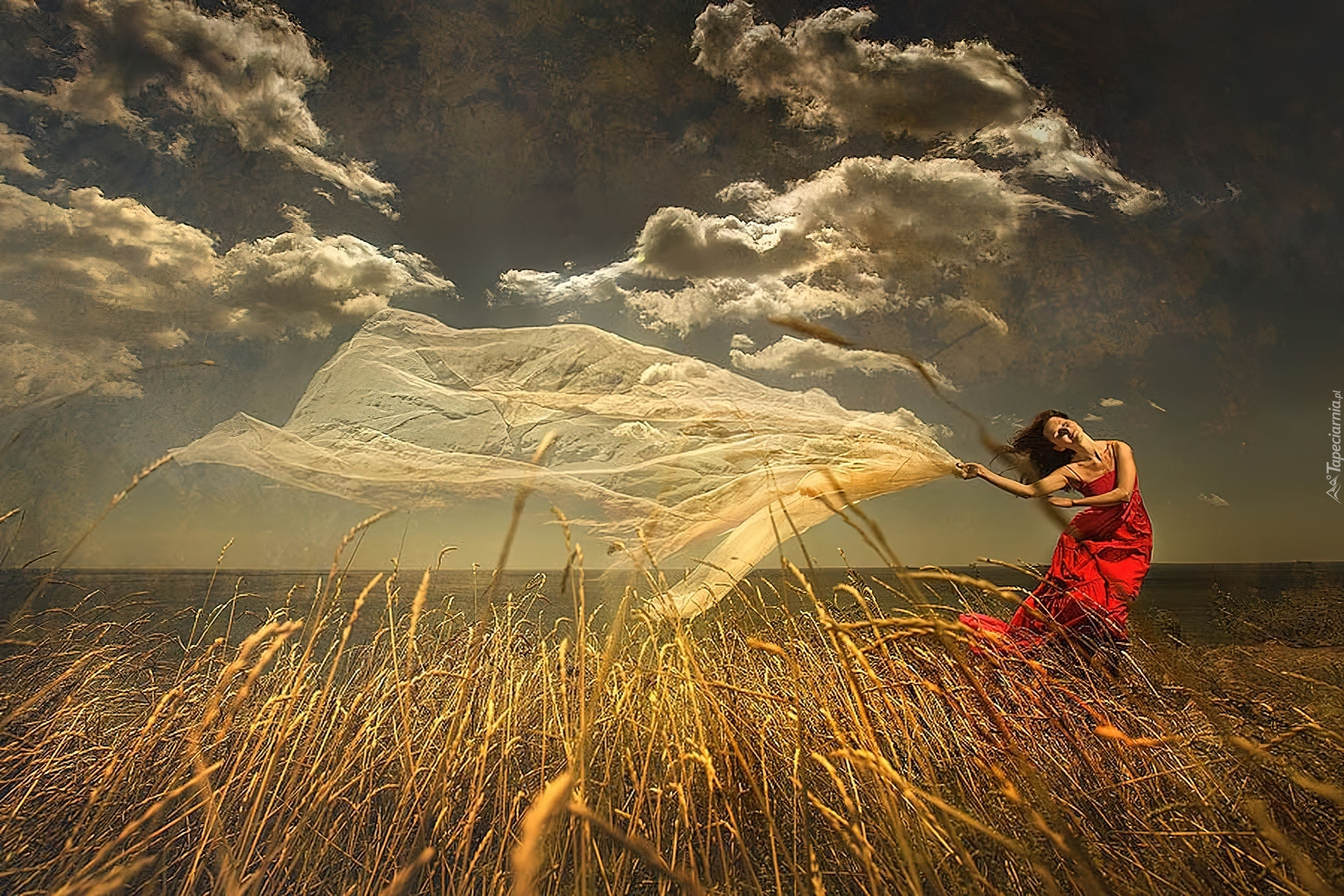 Каленными ветром. Ветер в поле. Женщина на ветру. Девушка в степи. Сильный ветер в поле.