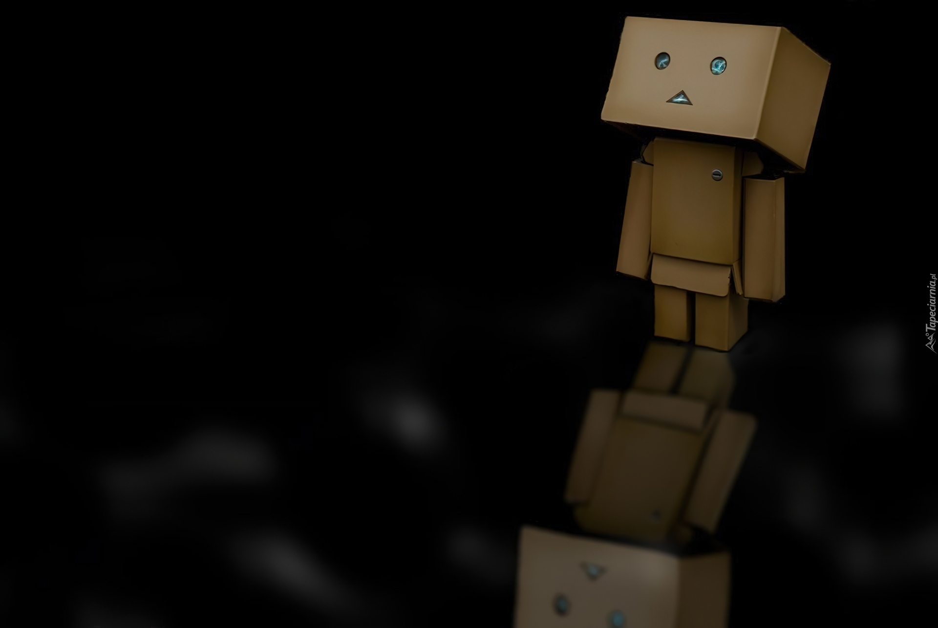 Danbo, Odbicie