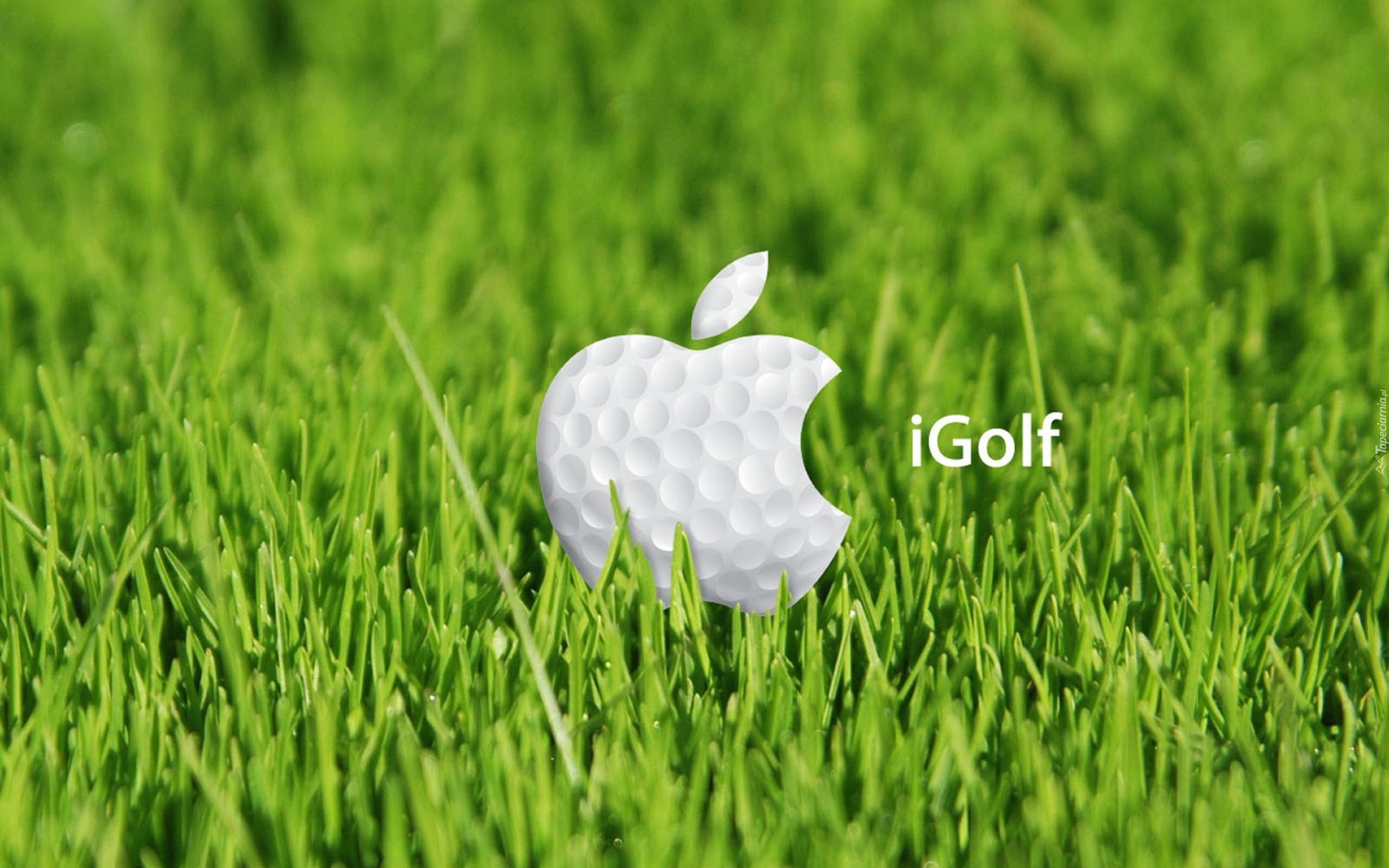 download the new version for apple Golf King Battle