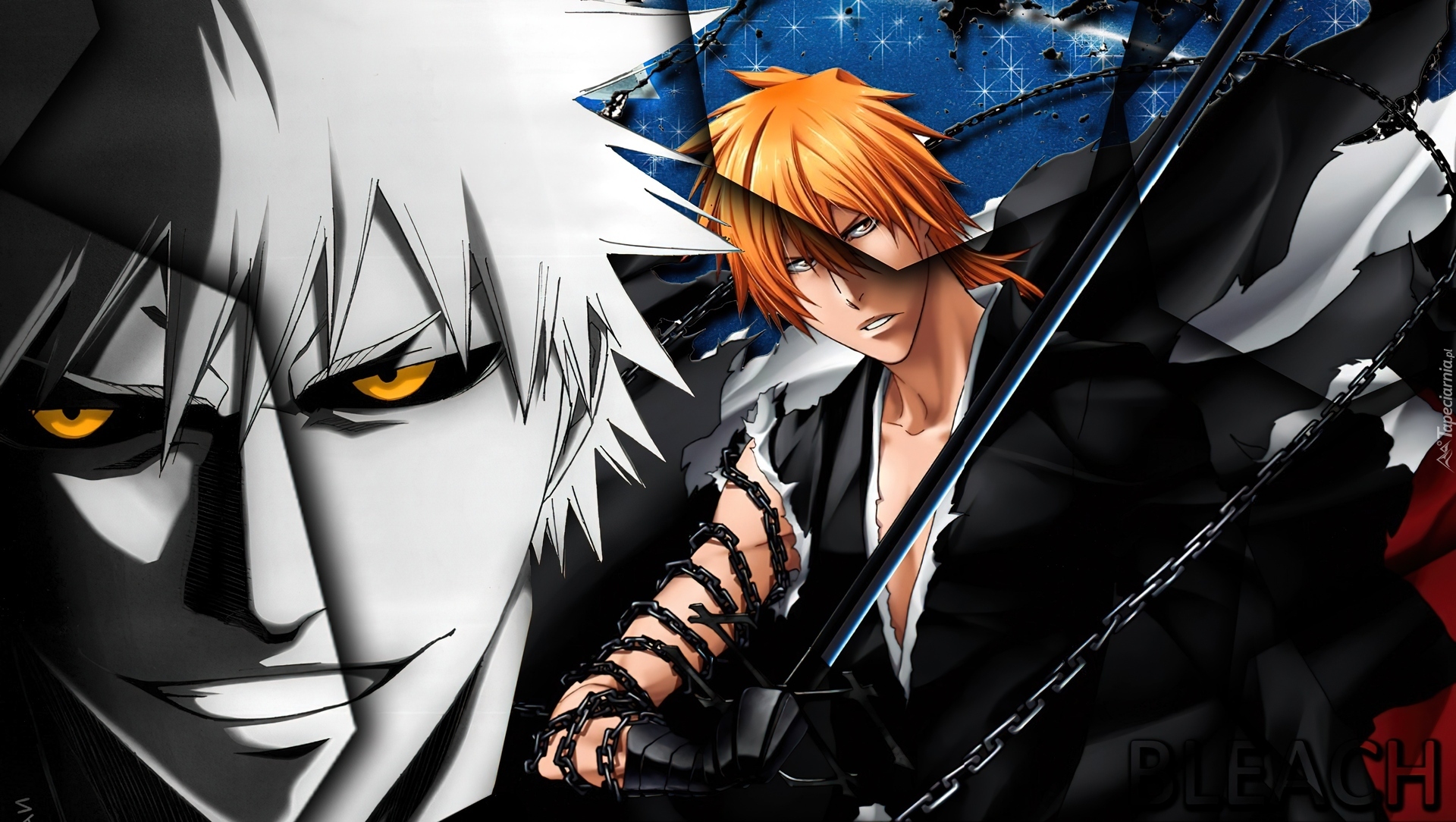 Kurosaki, Hollow