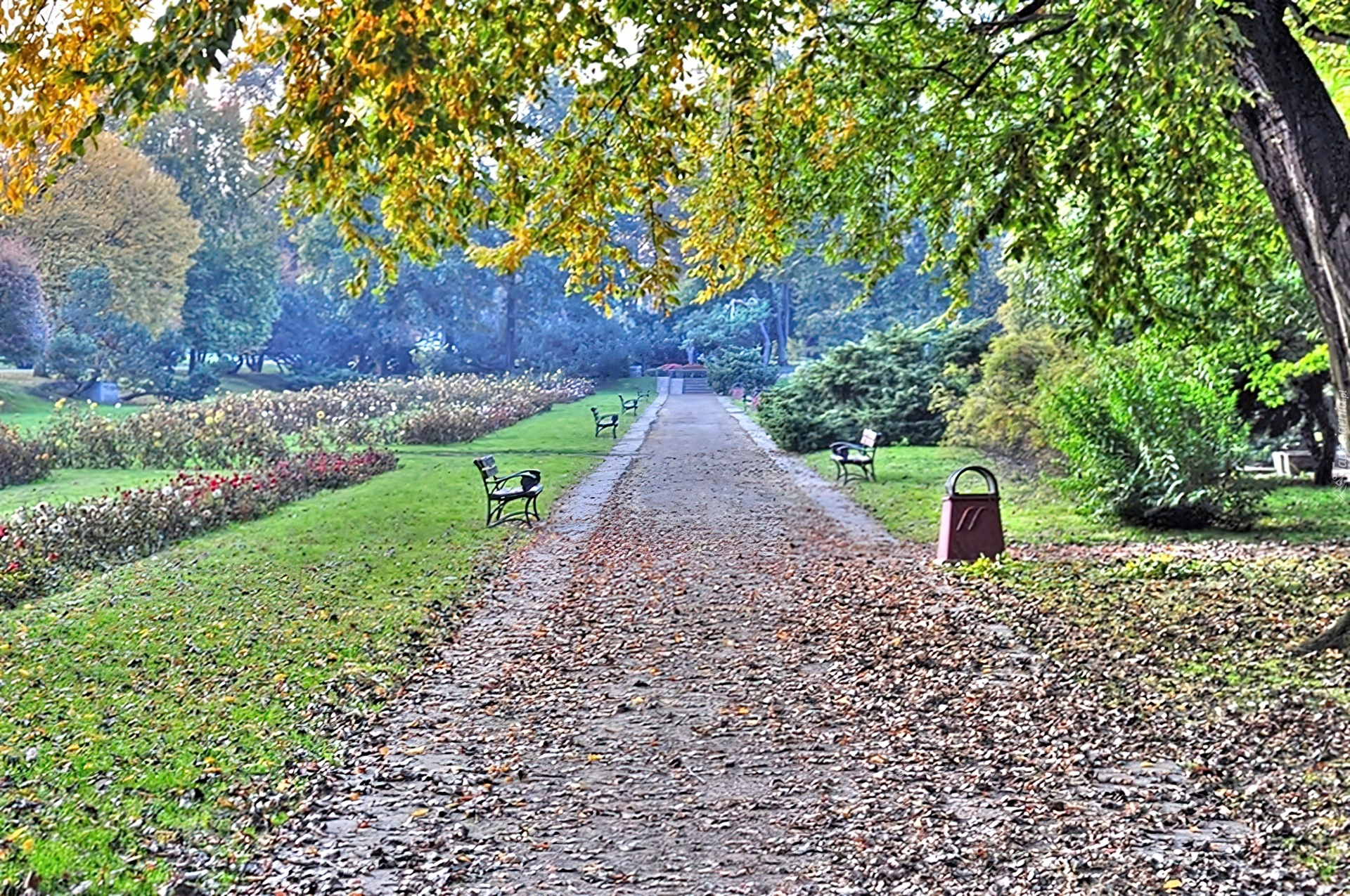 Park, Legnica