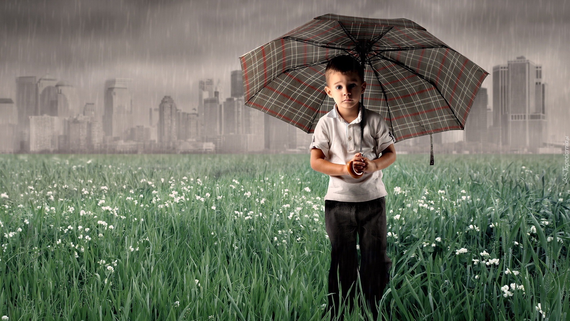 Chłopczyk, Pole, Parasol, Deszcz
