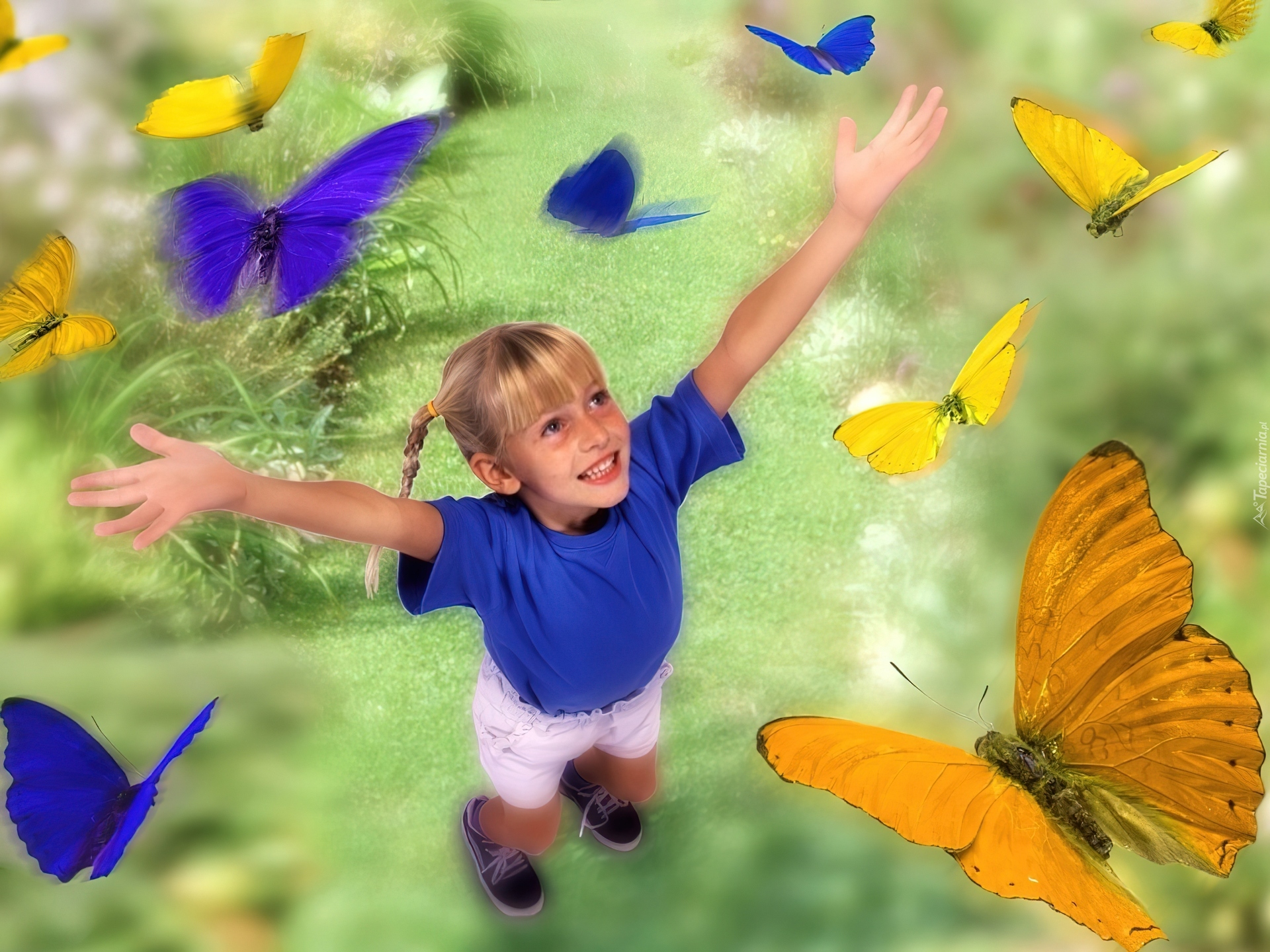Добрые волшебники семьи. Счастье бабочки. Радостные картинки. Дети радуются.