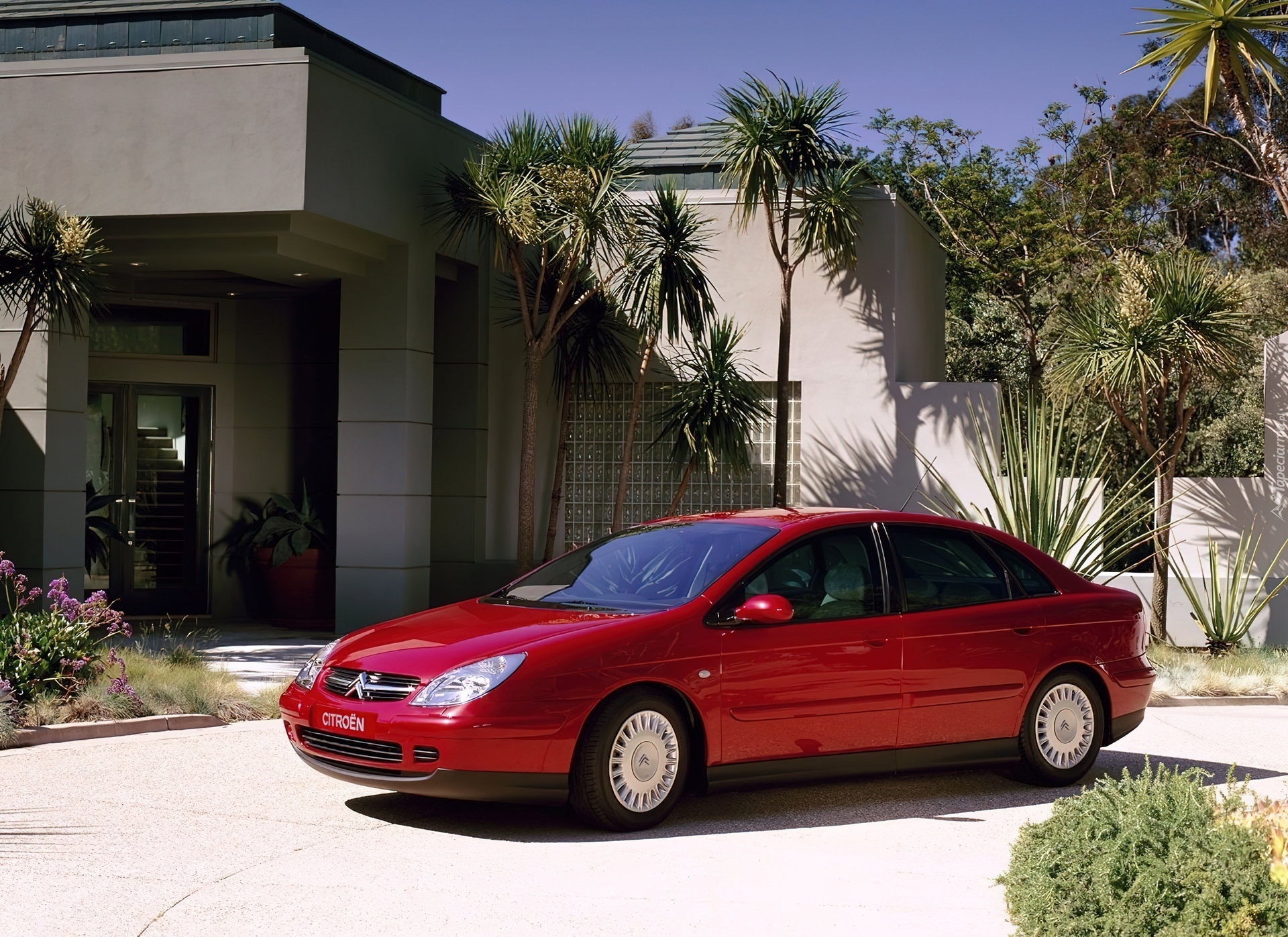 Czerwony, Citroen C5