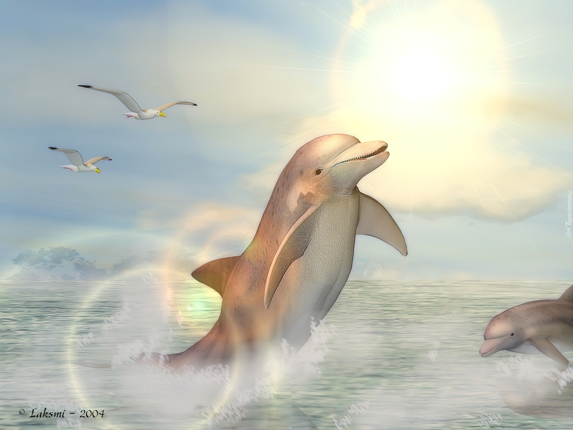Дельфины эзотерика