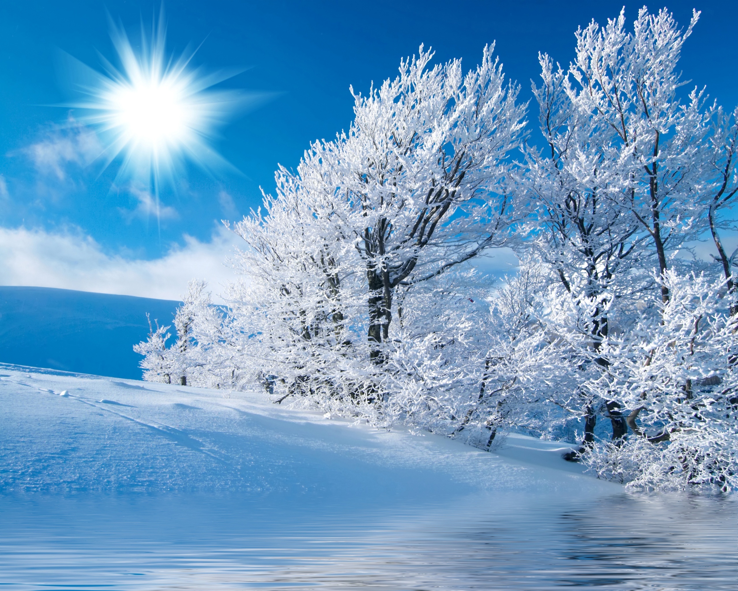Солнечный день январь. Красивая зима. Зима пейзаж. Обои зима. Красивая Снежная зима.