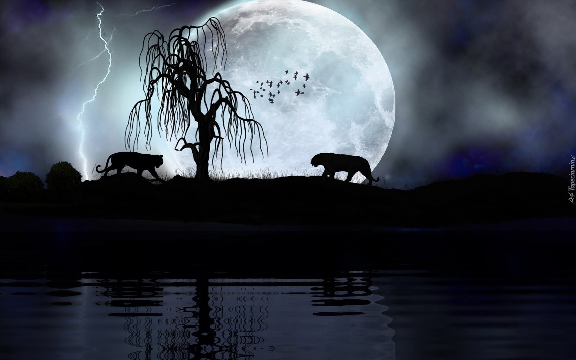 Tygrysy, Drzewo, Noc, Księżyc