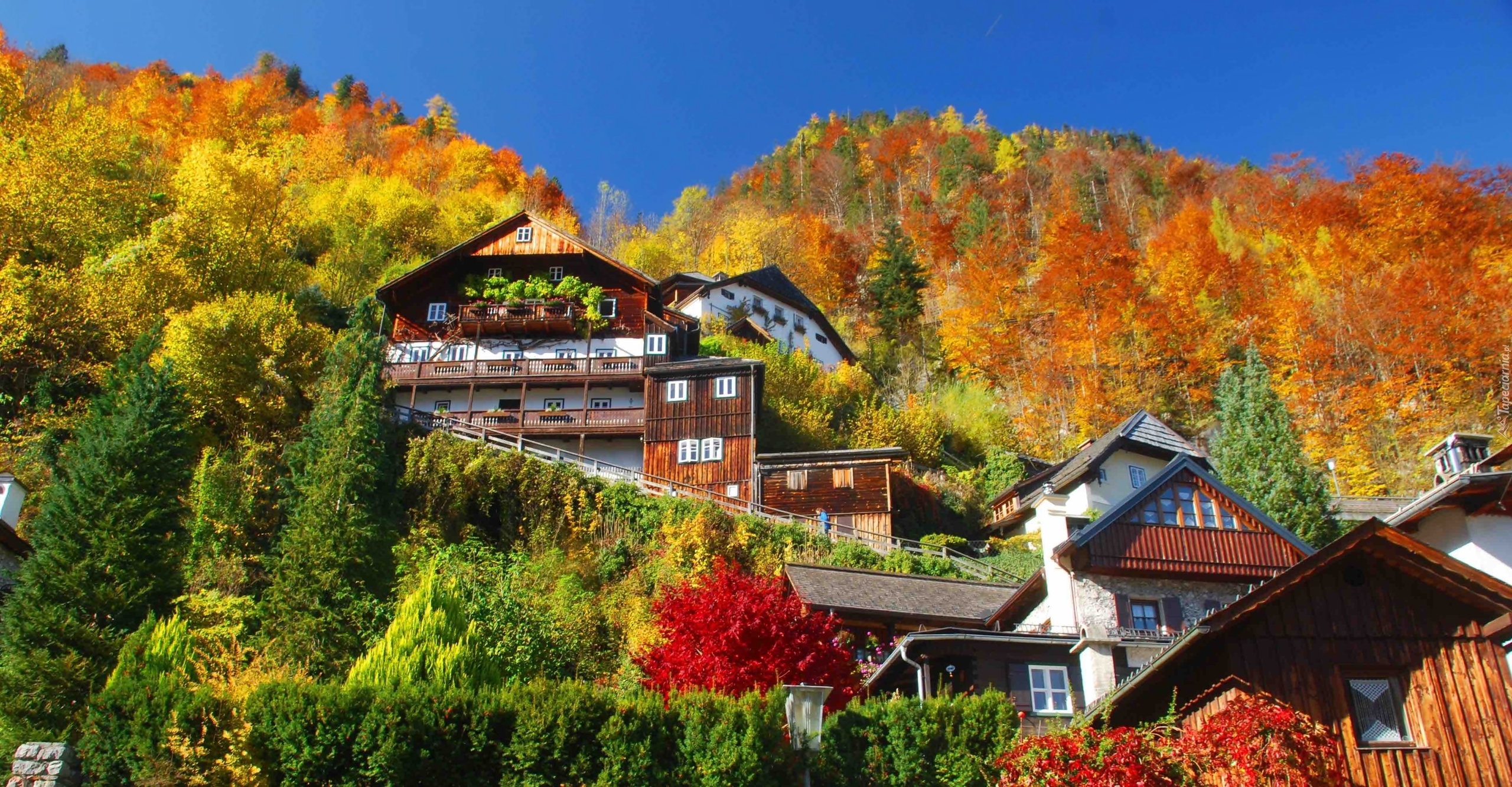 Austria, Miasteczko Hallstatt, Domy, Góra, Jesień