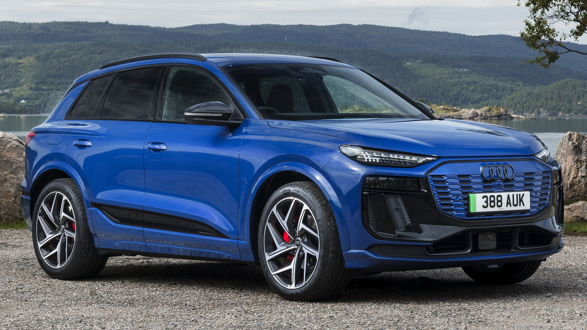 Audi Q6, E-tron