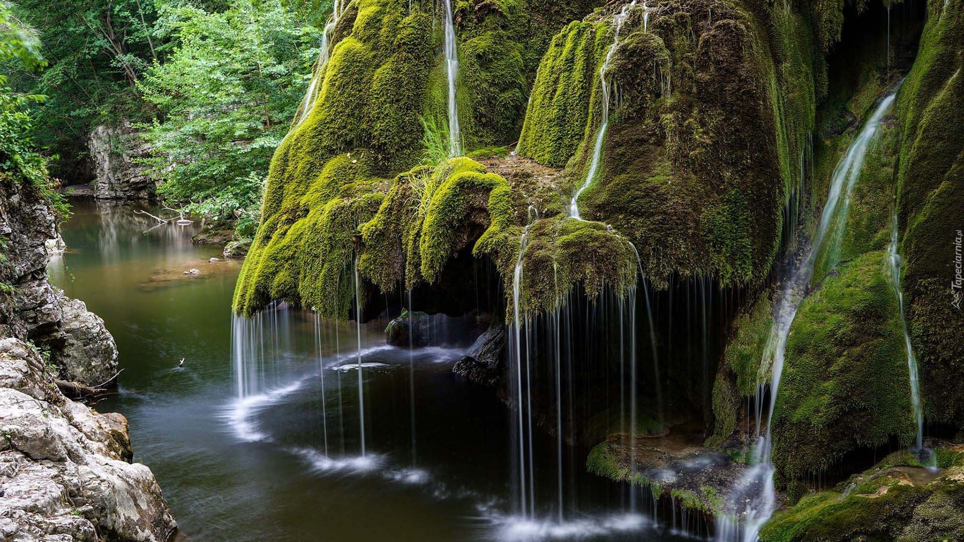 Omszałe, Skały, Wodospad, Bigar Cascade Falls, Rzeka, Minis River, Rumunia