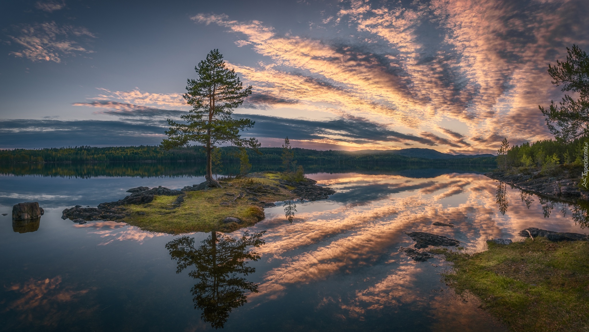 Norwegia, Ringrike, Chmury, Jezioro, Drzewa, Odbicie