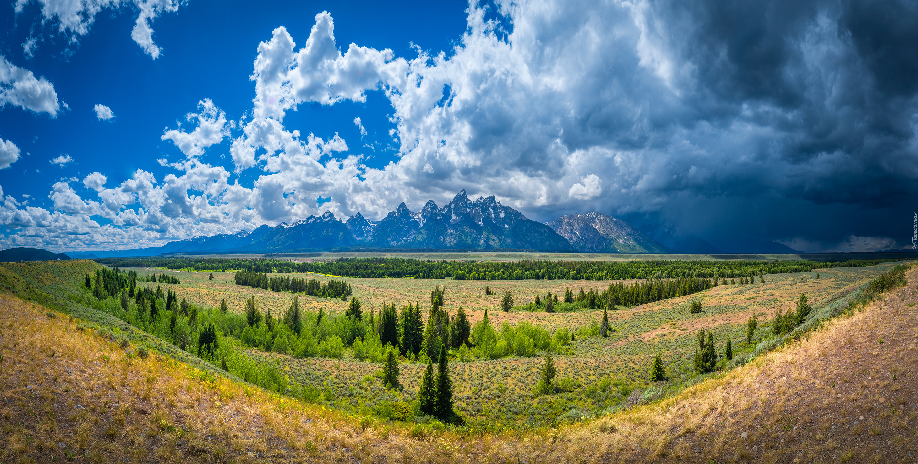 Stany Zjednoczone, Wyoming, Park Narodowy Grand Teton, Równina, Drzewa, Góry, Chmury, Niebo