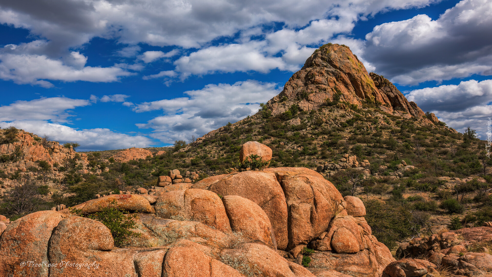 Góry, Skały, Granite Dells, Rośliny, Prescott, Arizona, Stany Zjednoczone