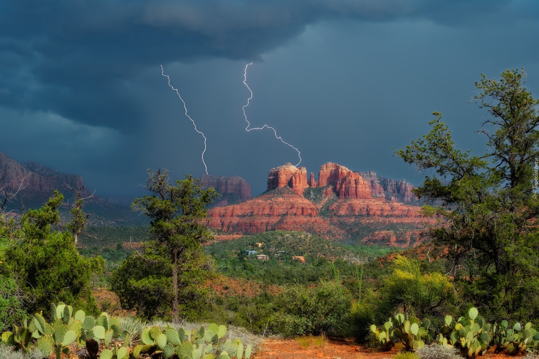 Stany Zjednoczone, Arizona, Sedona, Skały, Cathedral Rock, Chmury, Pioruny, Błyskawice, Drzewa, Kaktusy