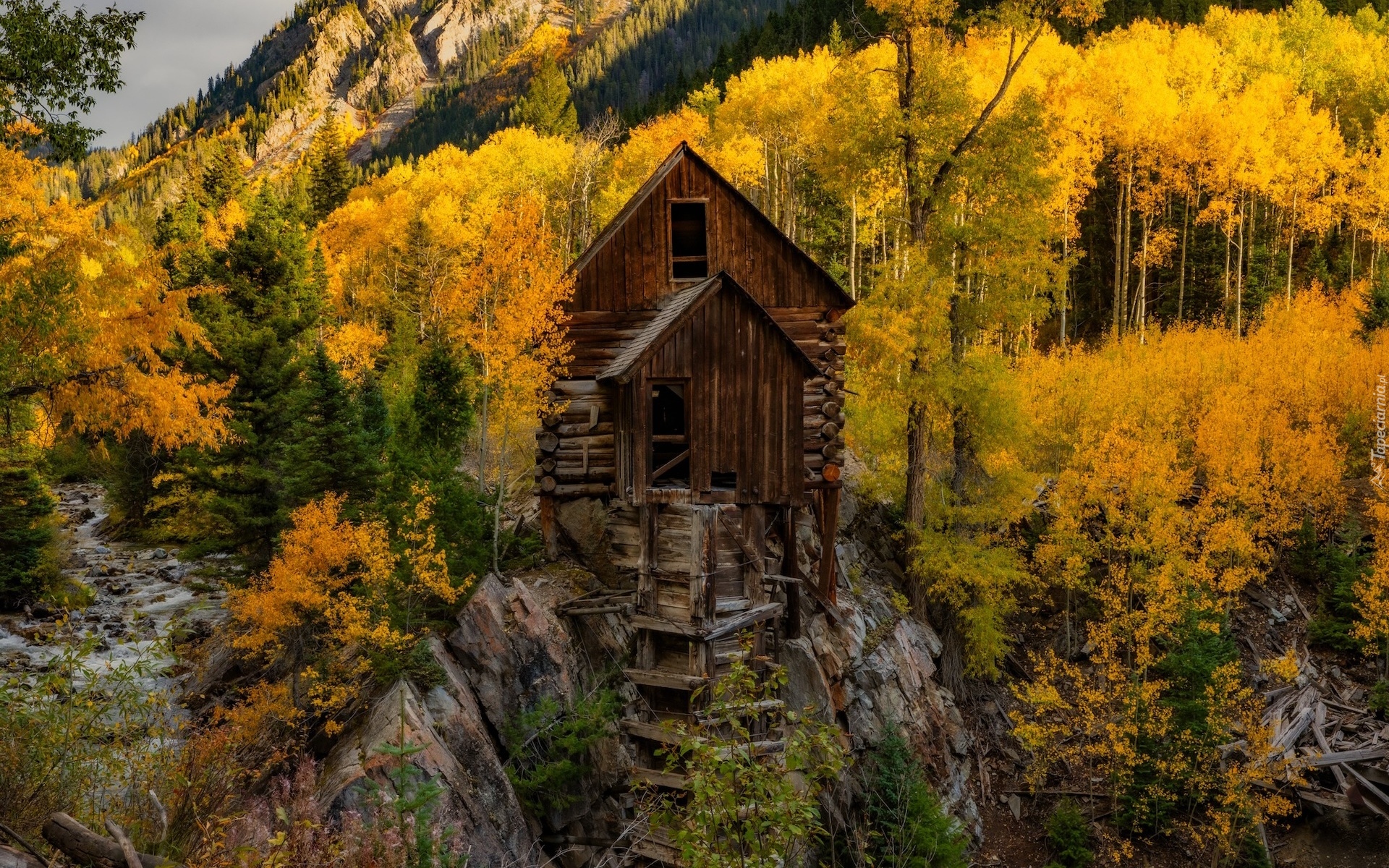 Stany Zjednoczone, Kolorado, Młyn wodny, Crystal Mill, Jesień, Drzewa, Skały