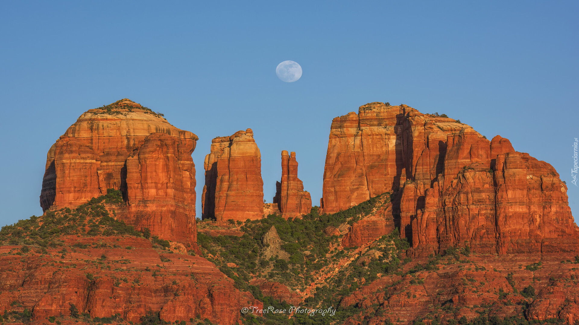 Księżyc, Wschód słońca, Czerwone, Skały, Krzewy, Cathedral Rocks, Sedona, Arizona, Stany Zjednoczone