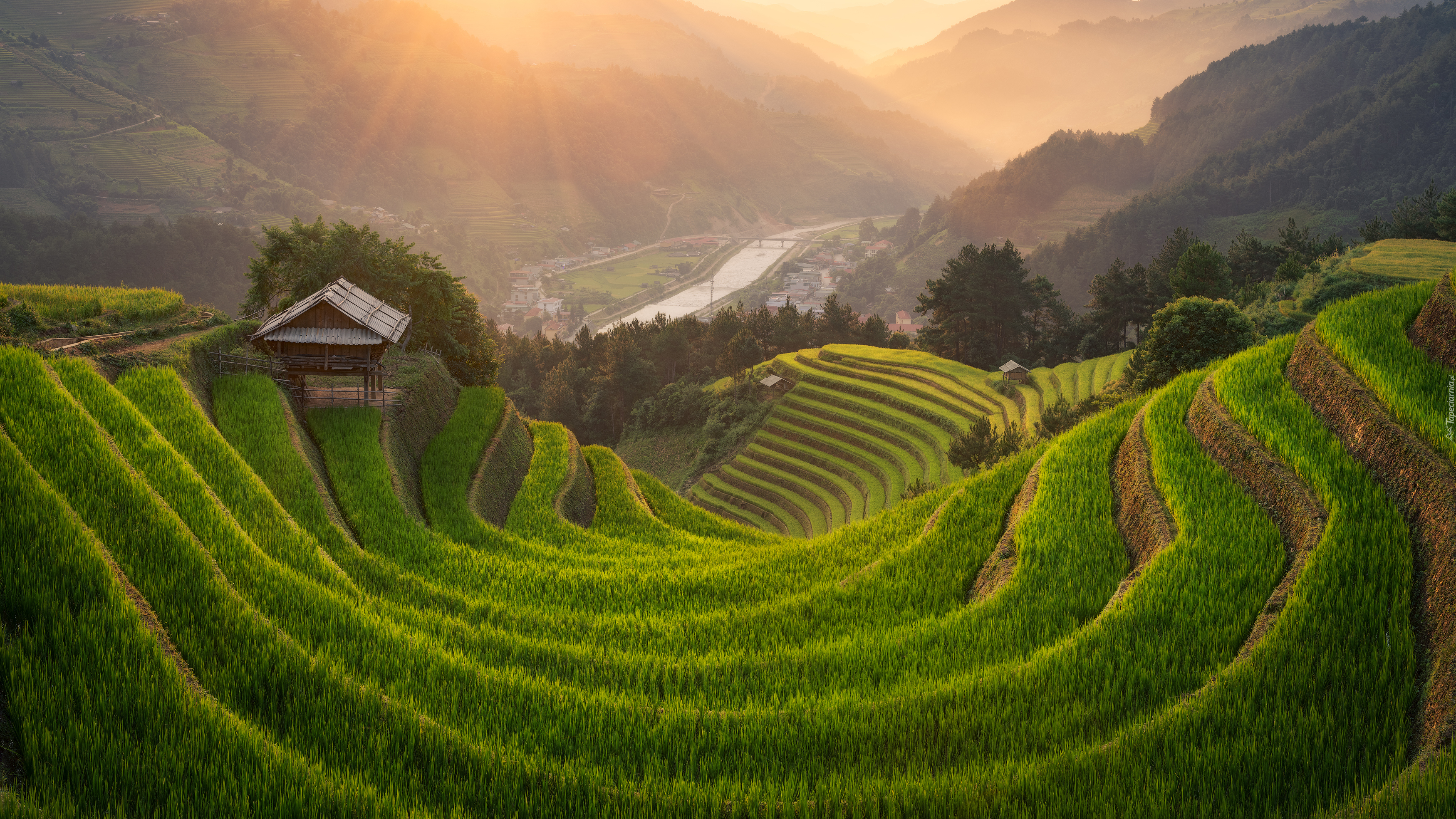 Pola uprawne, Tarasy ryżowe, Dom, Dolina, Góry, Mu Cang Chai, Wietnam