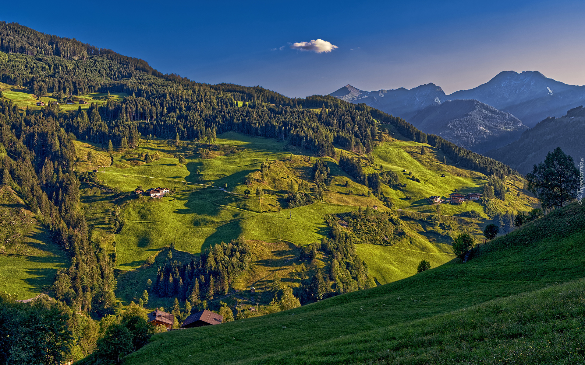Góry, Alpy, Lasy, Drzewa, Wzgórze, Domy, Dolina, Gmina Grossarl, Austria