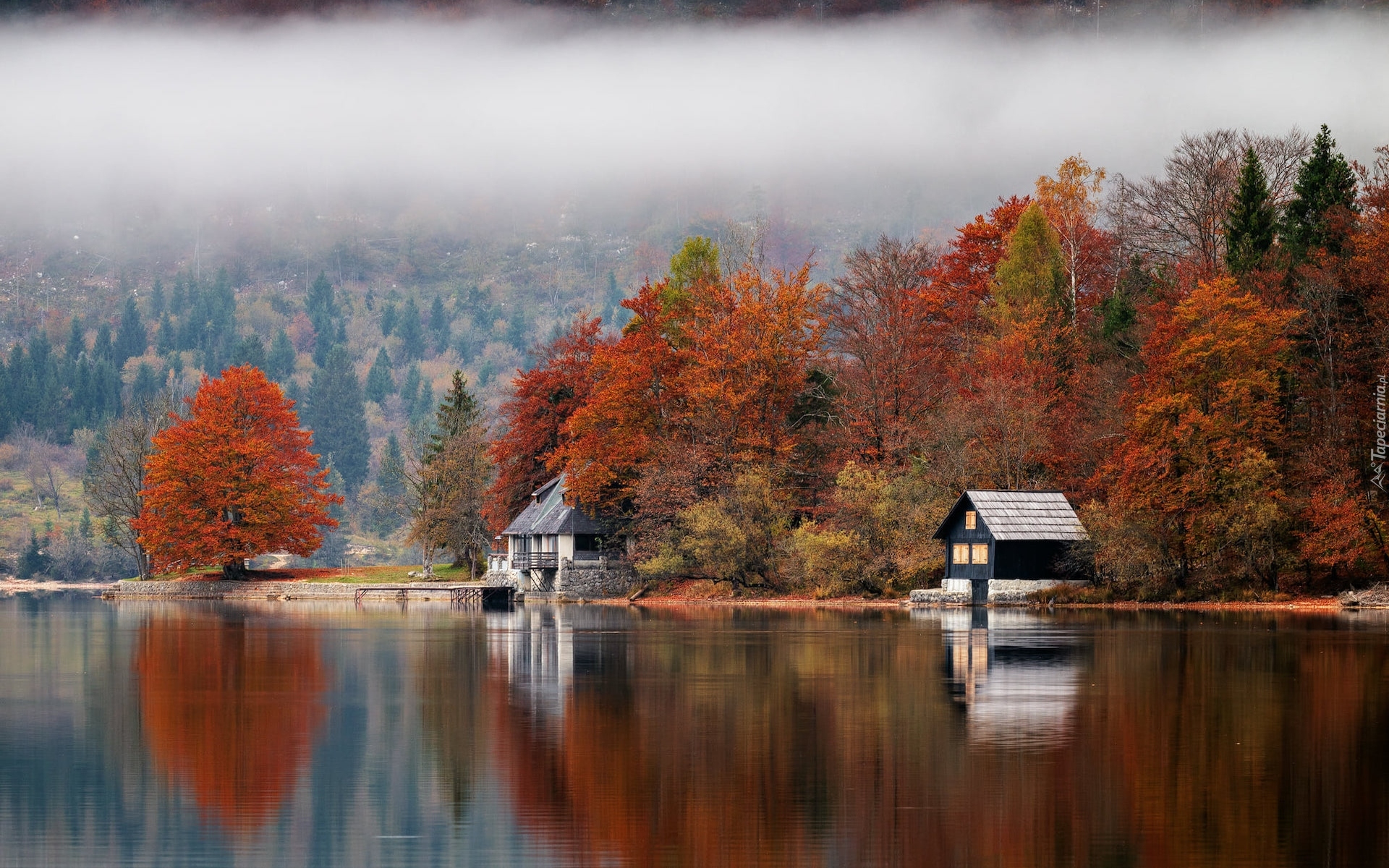 Jezioro, Jesień, Domy, Drzewa, Mgła