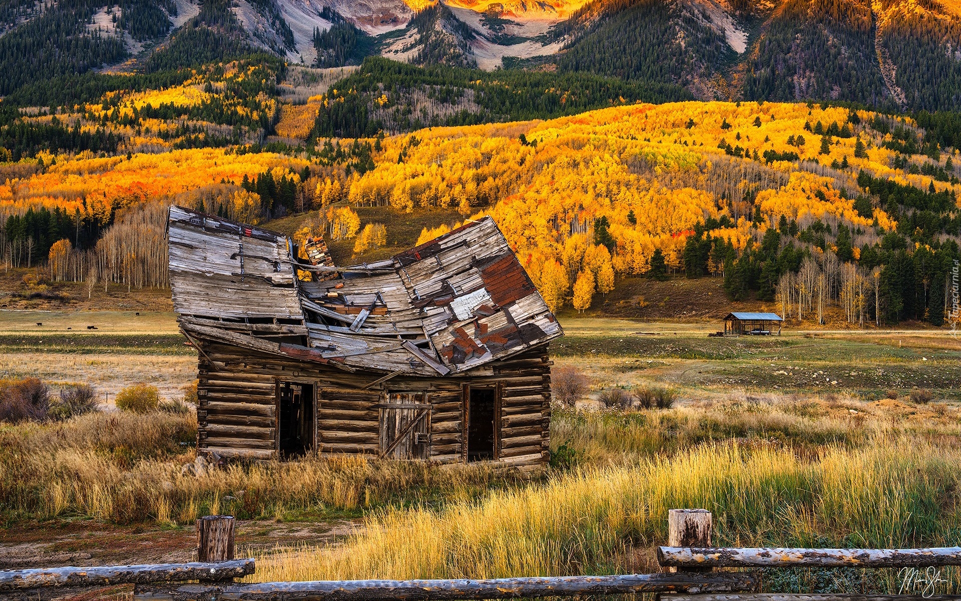 Stany Zjednoczone, Kolorado, Crested Butte, Góry, Jesień, Drzewa, Szopa, Drewniana