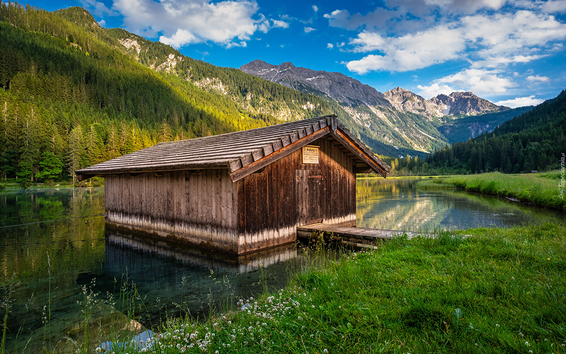 Austria, Góry, Alpy, Las, Jezioro, Domek, Szopa, Pomost, Trawa