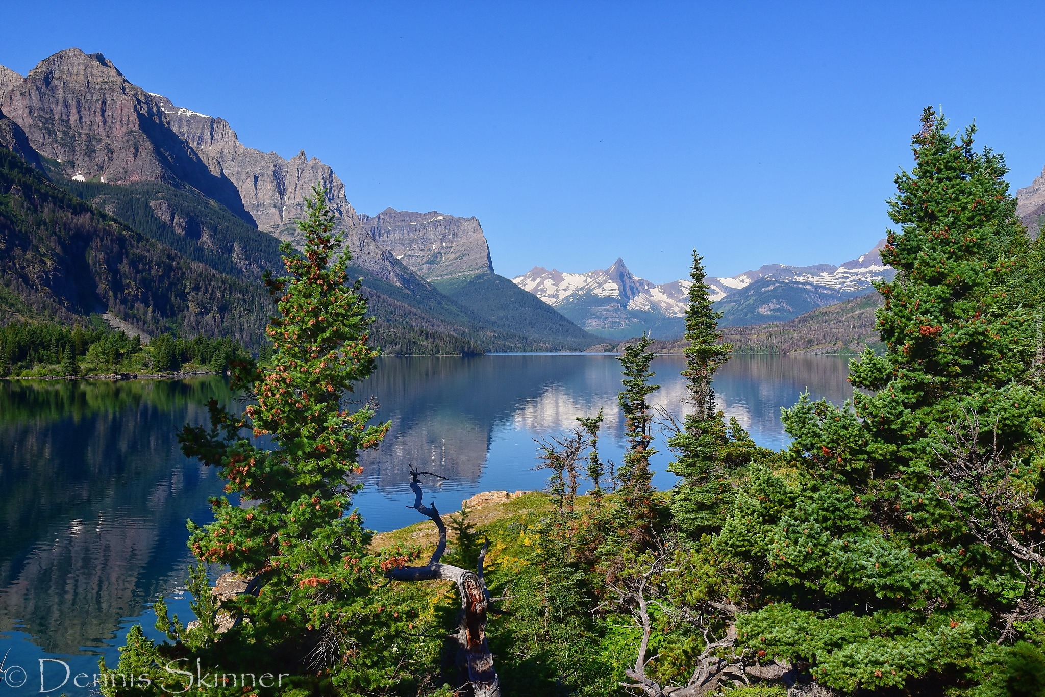 Stany Zjednoczone, Montana, Park Narodowy Glacier, Góry, Sierra Nevada Mountains, Jezioro, St Mary Lake, Drzewa