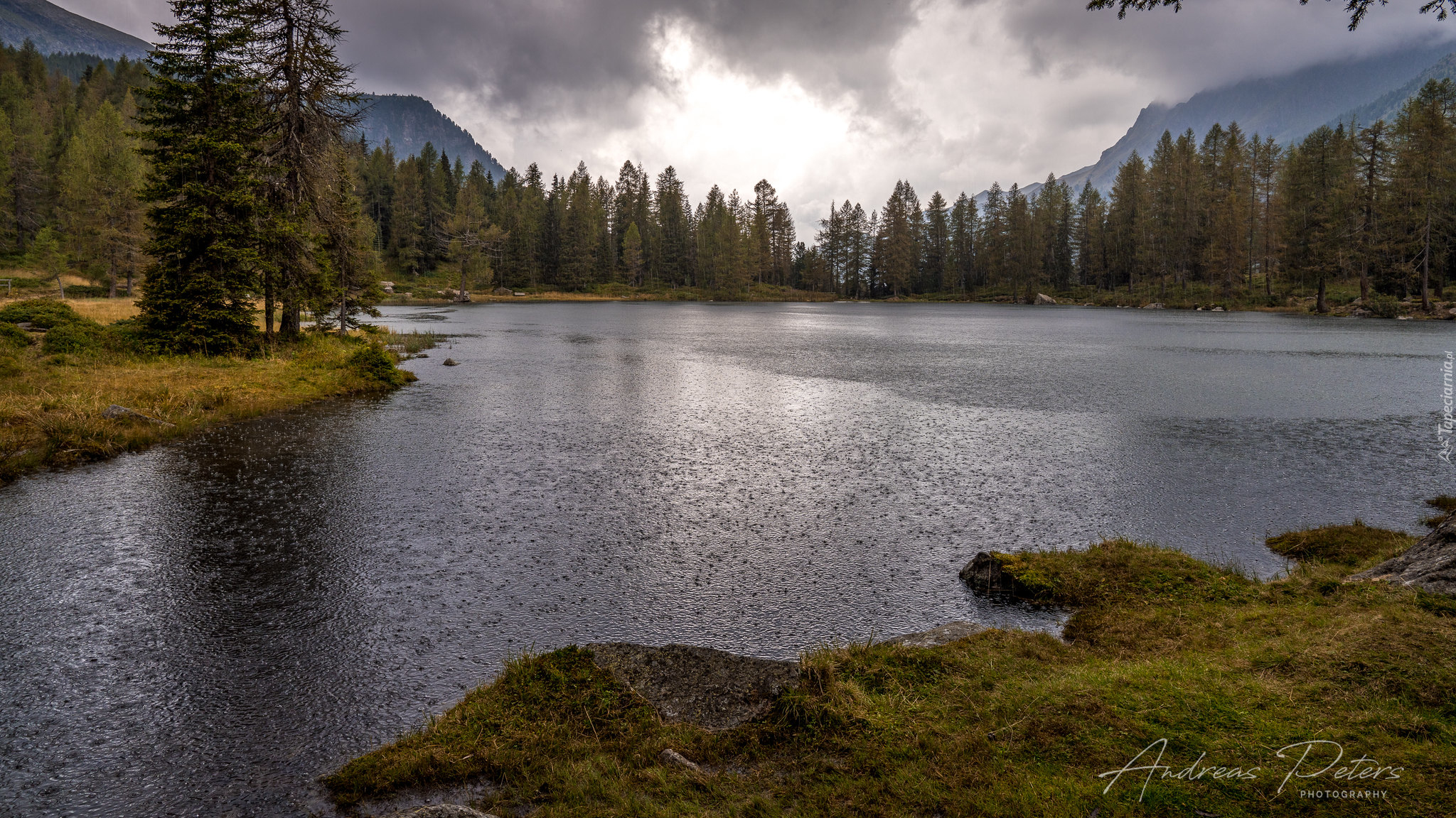 Jezioro, Lago di San Pellegrino, Drzewa, Trydent, Włochy